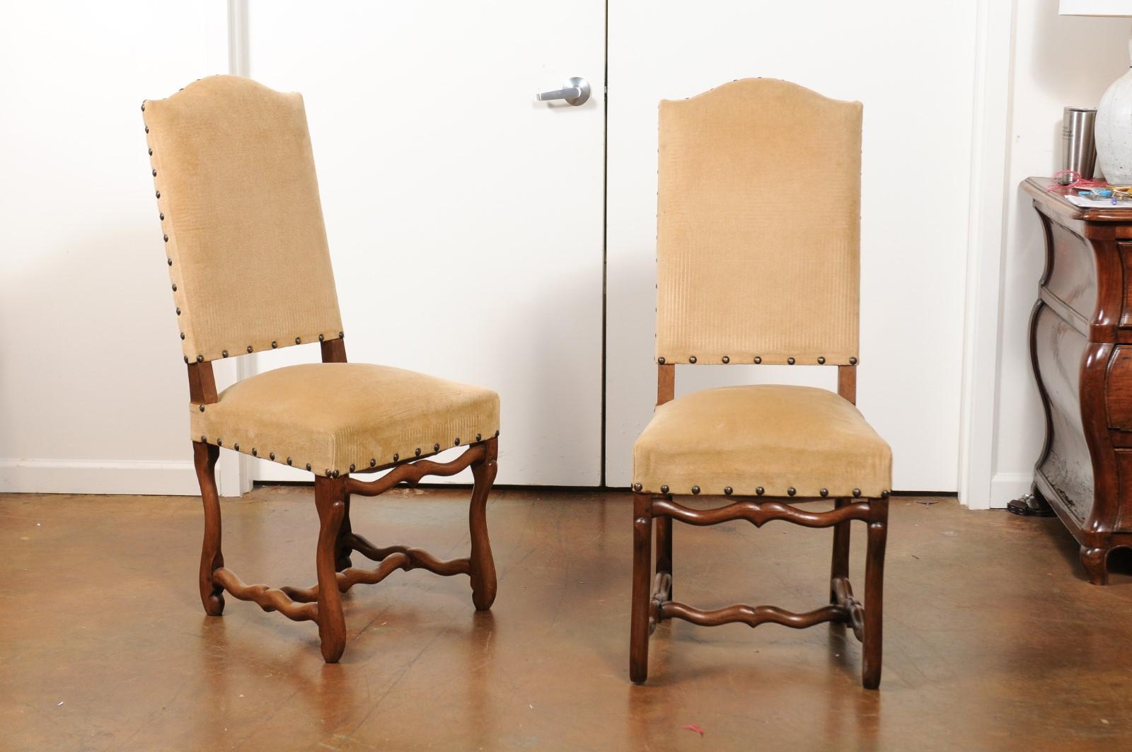 A set of eight vintage Louis XIII style 'os de mouton' dining room side chairs from the mid-20th century, with camel velvet upholstery and nailheads. Born in France during the midcentury period, this set of eight French dining chairs presents the
