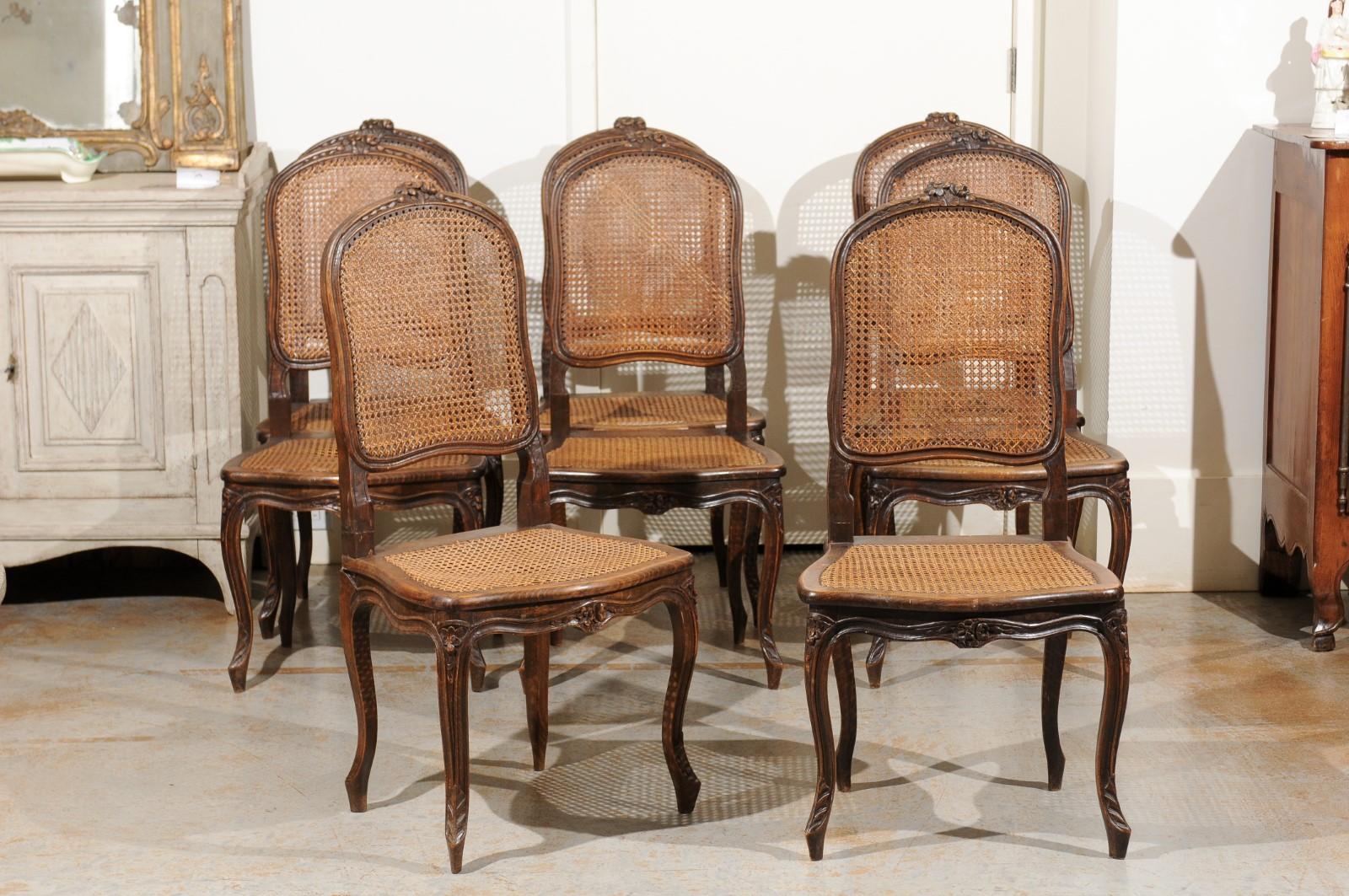 A set of eight French Louis XV style walnut dining room side chairs from the 19th century, with cane seats and backs. Born in France during the politically dynamic 19th century, this set of dining chairs presents the stylistic characteristics of the