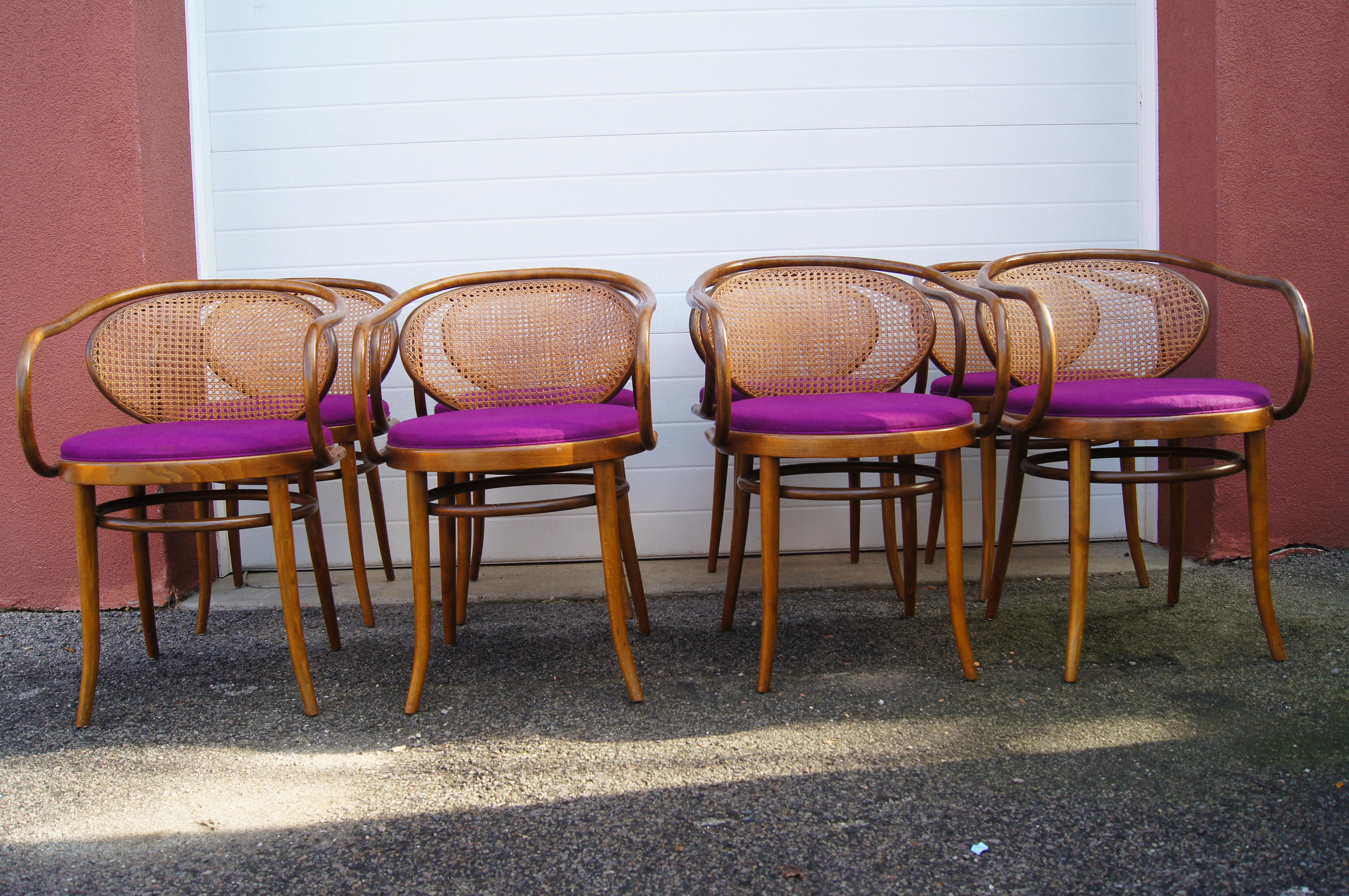 Czech Set of Eight Handwoven Cane 210 Chairs by Stendig For Sale