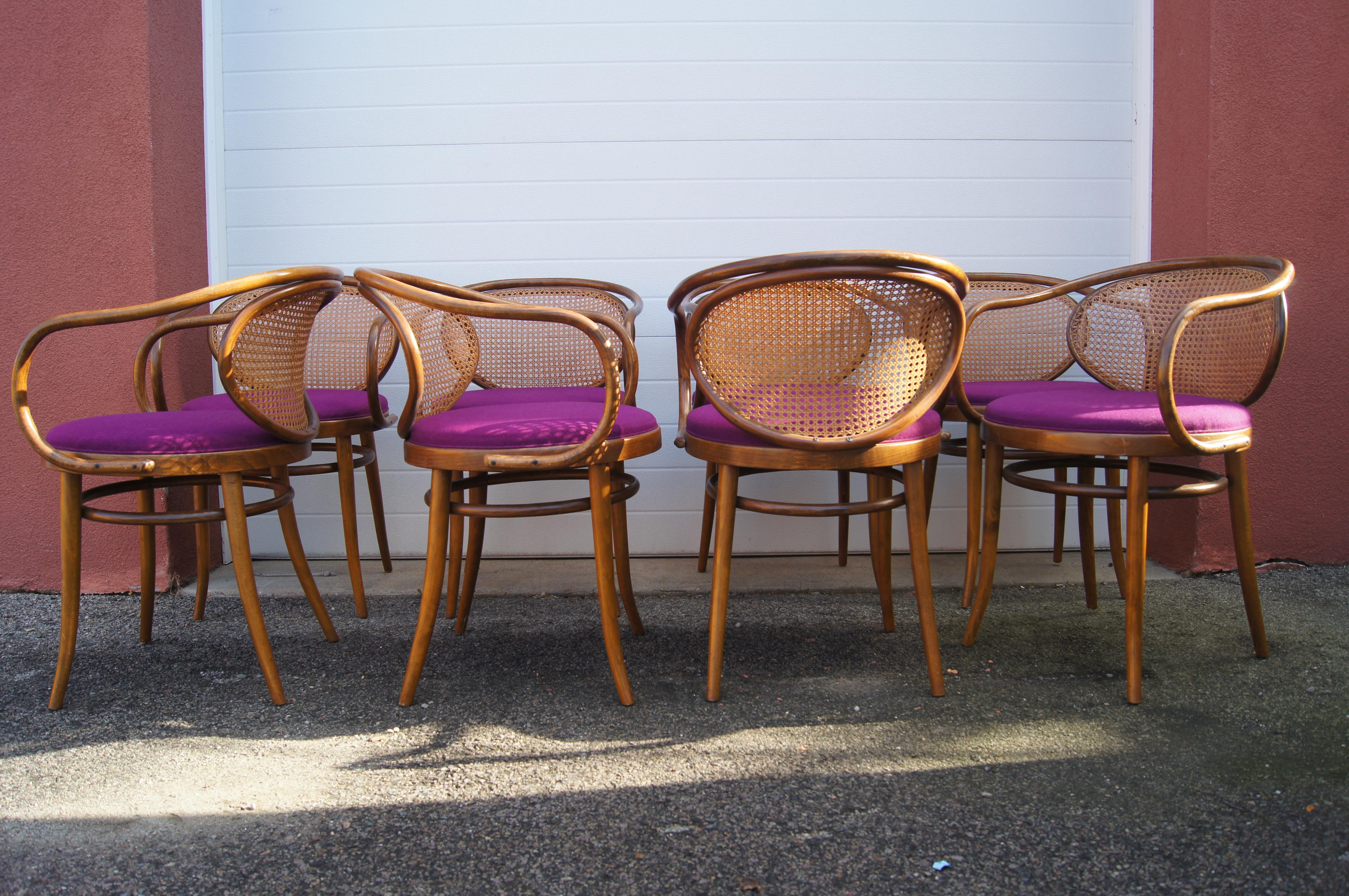 Set of Eight Handwoven Cane 210 Chairs by Stendig In Good Condition For Sale In Dorchester, MA