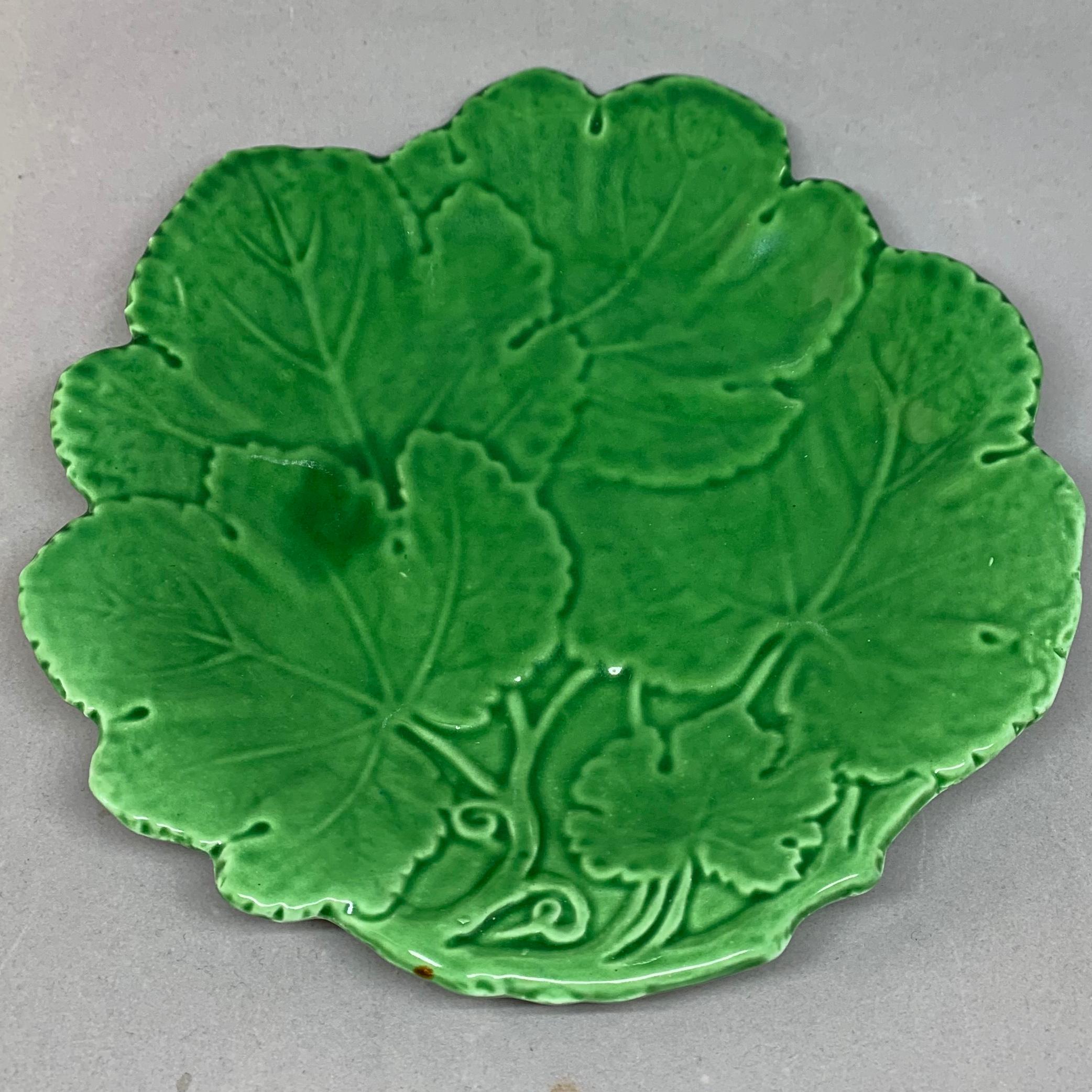 green leaves plates