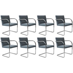 Set of Eight Knoll Tubular Brno Chairs by Mies van der Rohe