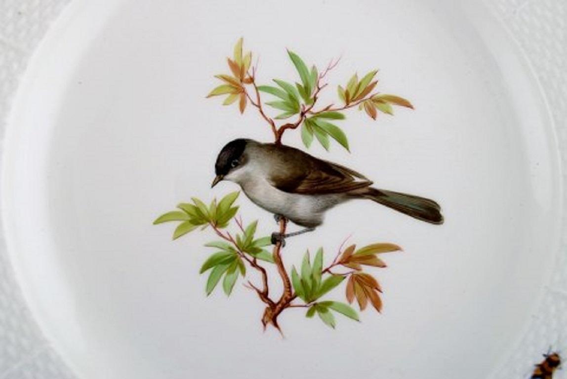 meissen bird plates