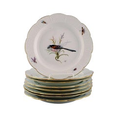 Set of Eight Meissen Plates, Hand Painted with Birds and Insects