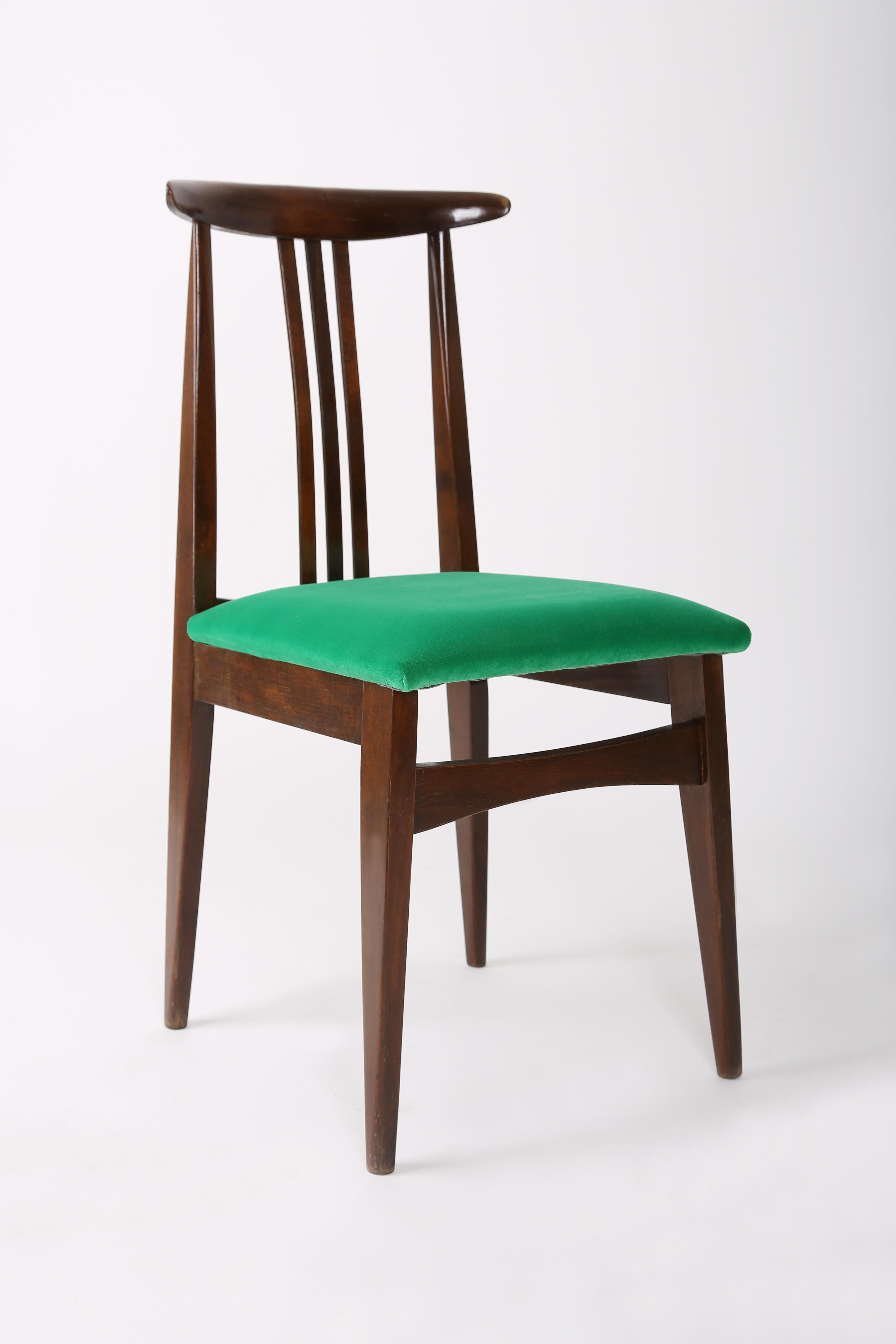 Satz von acht Buchenholzstühlen, entworfen von M. Zielinski, Typ 200 / 100B. Hergestellt vom Opole Furniture Industry Center Ende der 1960er Jahre in Polen. Die Stühle wurden komplett neu geschreinert und gepolstert. Die Sitze sind mit hochwertigem
