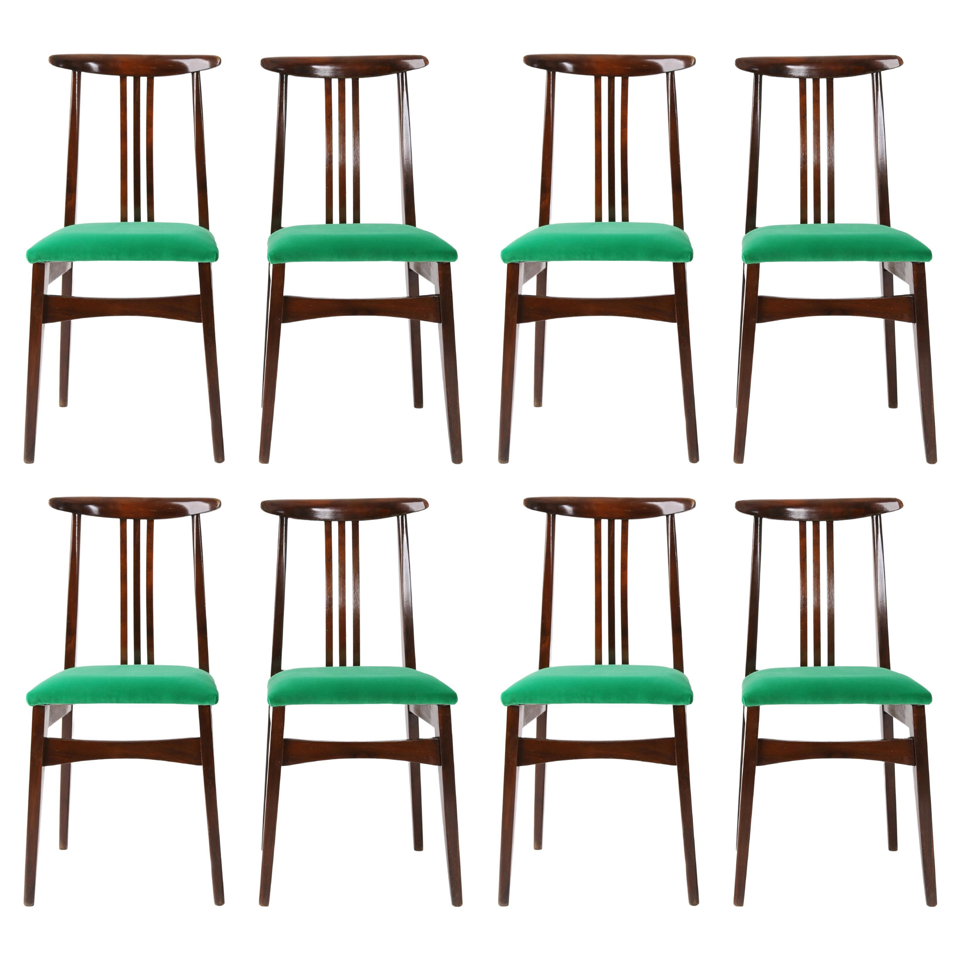 Set von acht Stühlen aus grünem Samt aus der Mitte des Jahrhunderts entworfen von Zielinski, Europa 1960er Jahre im Angebot