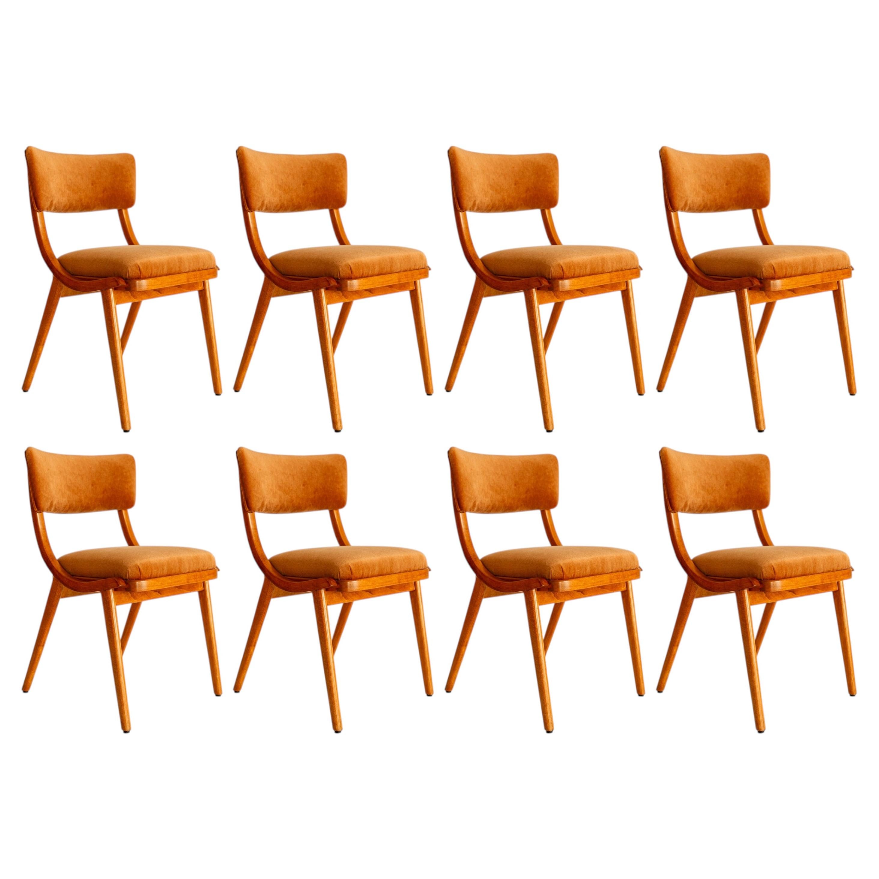 Lot de huit chaises « Bumerang » de style Mid-Century Modern, velours rouille, Pologne, années 1960