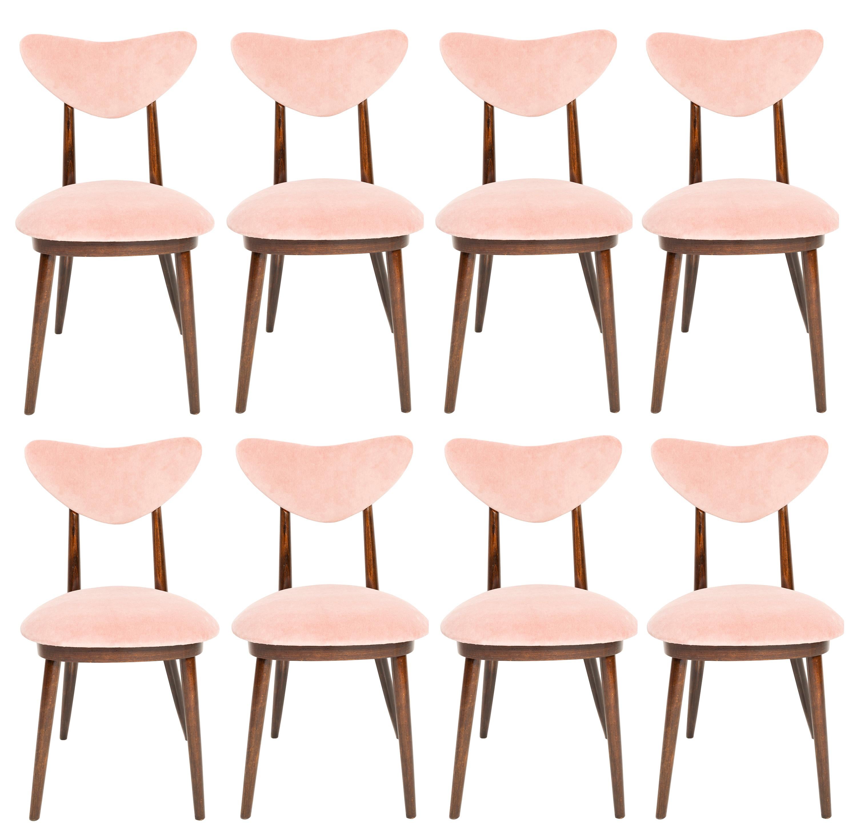 Un ensemble de 8 chaises de type A5828. Appelé familièrement 