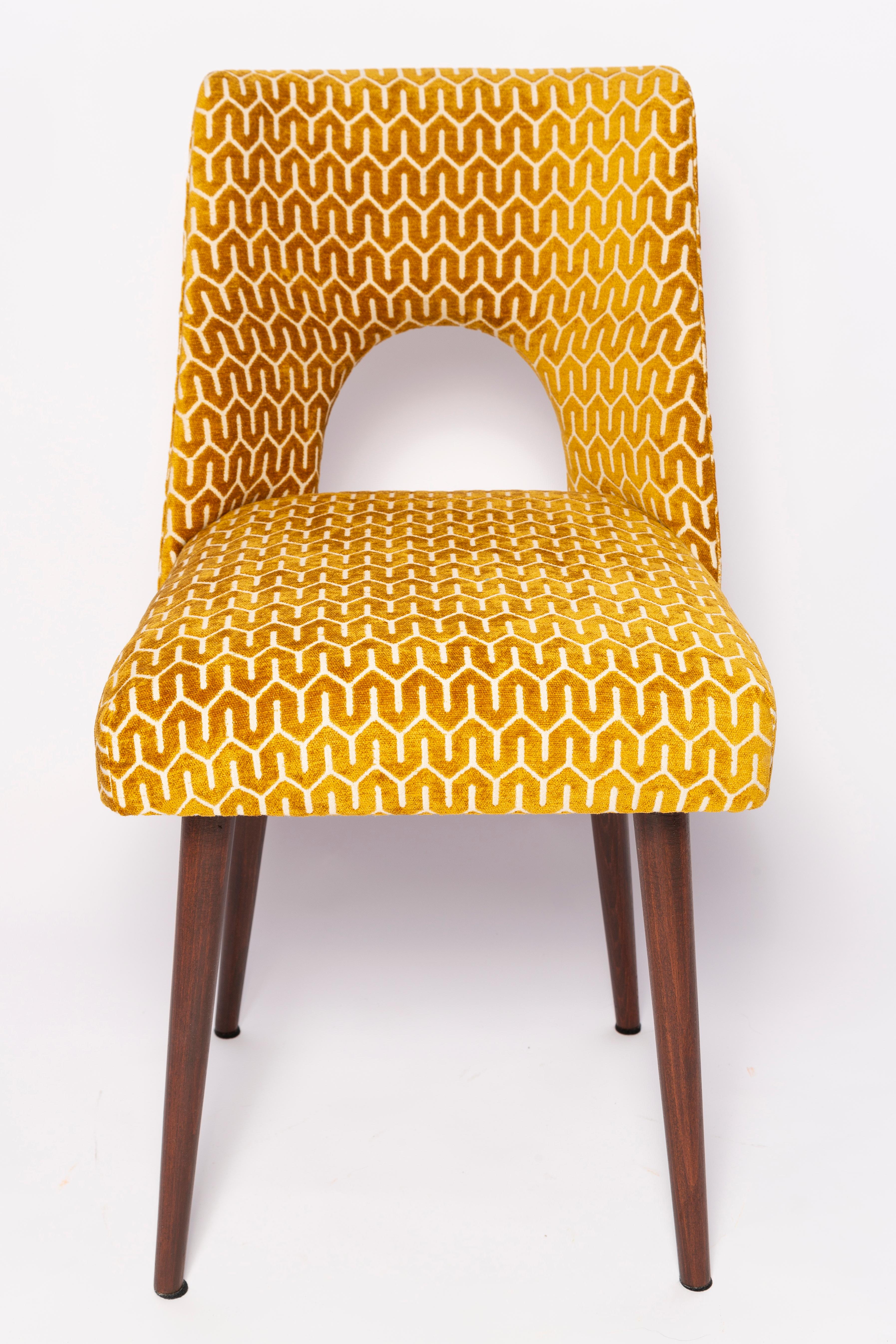 Set of Eight Mid-Century Yellow Mustard 'Shell' Chairs, Europe, 1960s For Sale 1