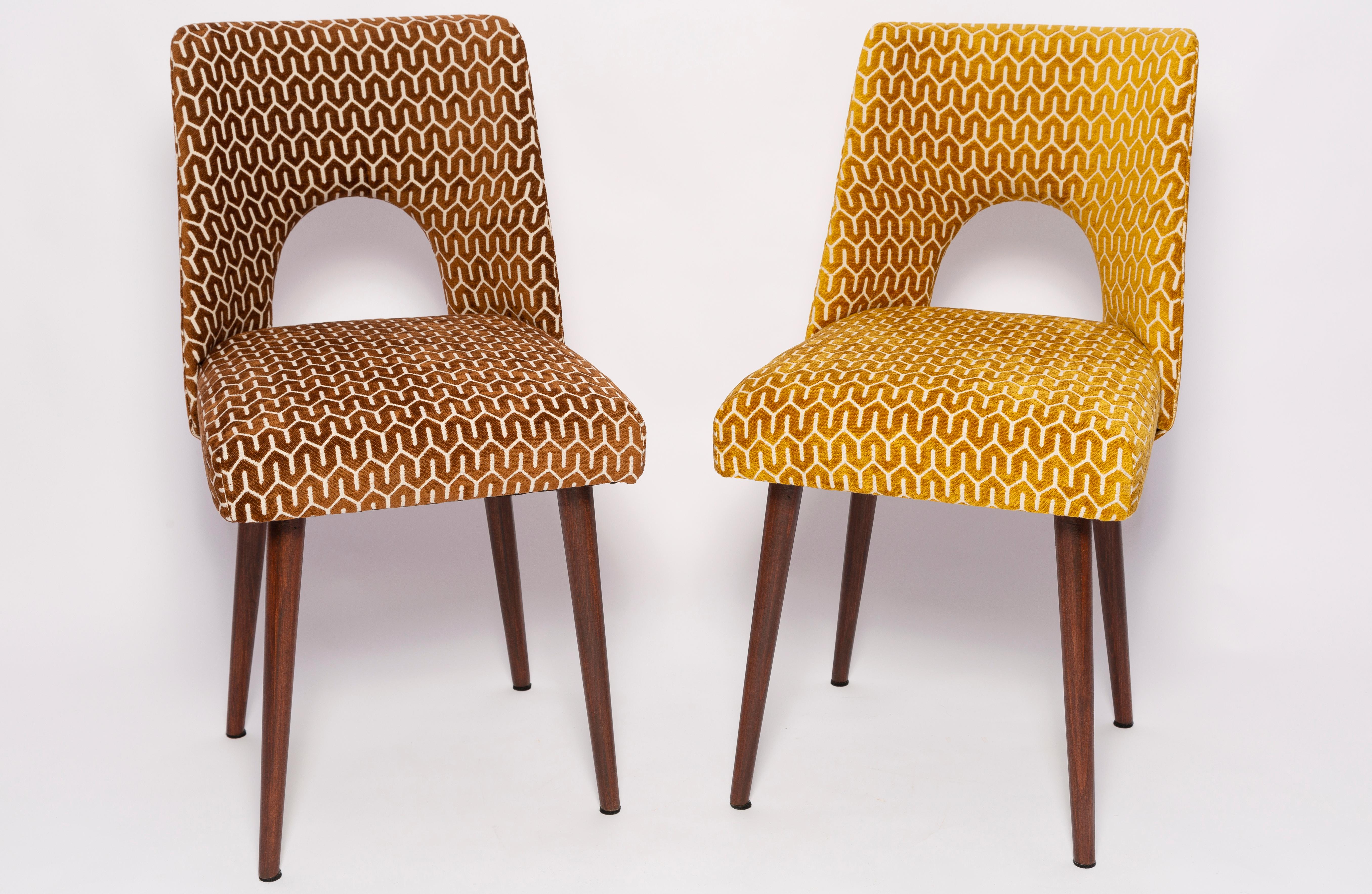 Set of Eight Mid-Century Yellow Mustard 'Shell' Chairs, Europe, 1960s For Sale 4