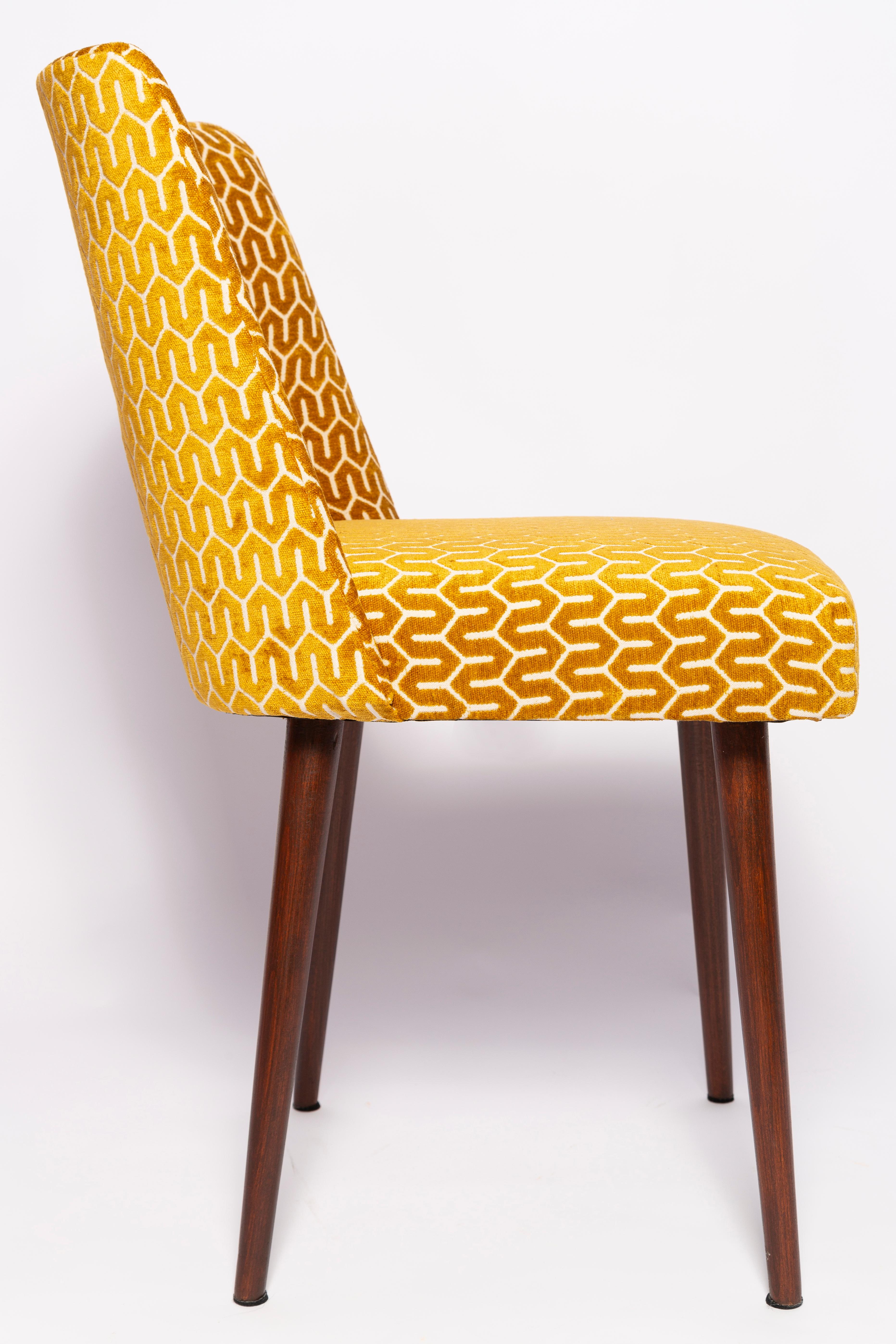 Hand-Crafted Set of Eight Mid-Century Yellow Mustard 'Shell' Chairs, Europe, 1960s For Sale