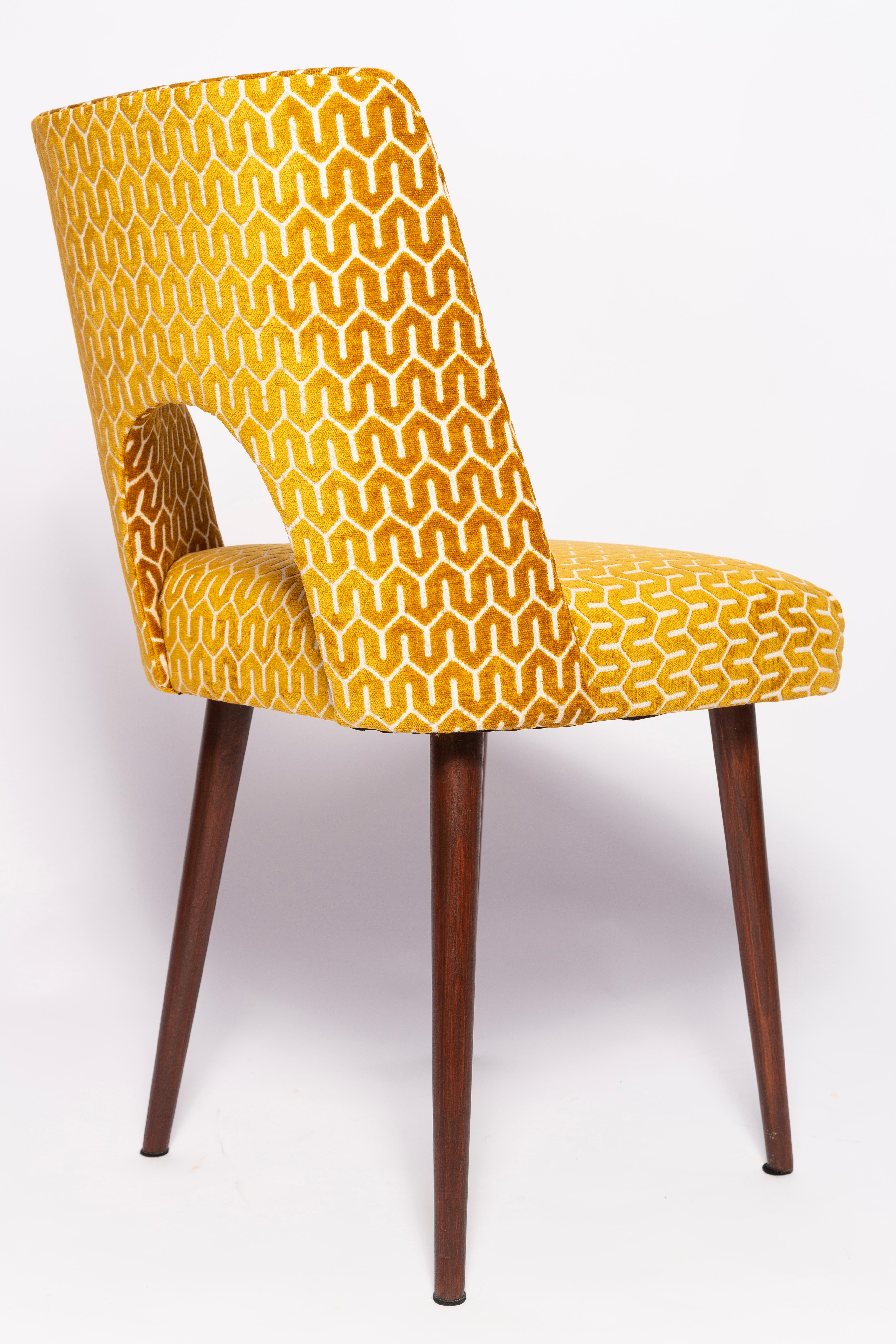 Set of Eight Mid-Century Yellow Mustard 'Shell' Chairs, Europe, 1960s In Good Condition For Sale In 05-080 Hornowek, PL