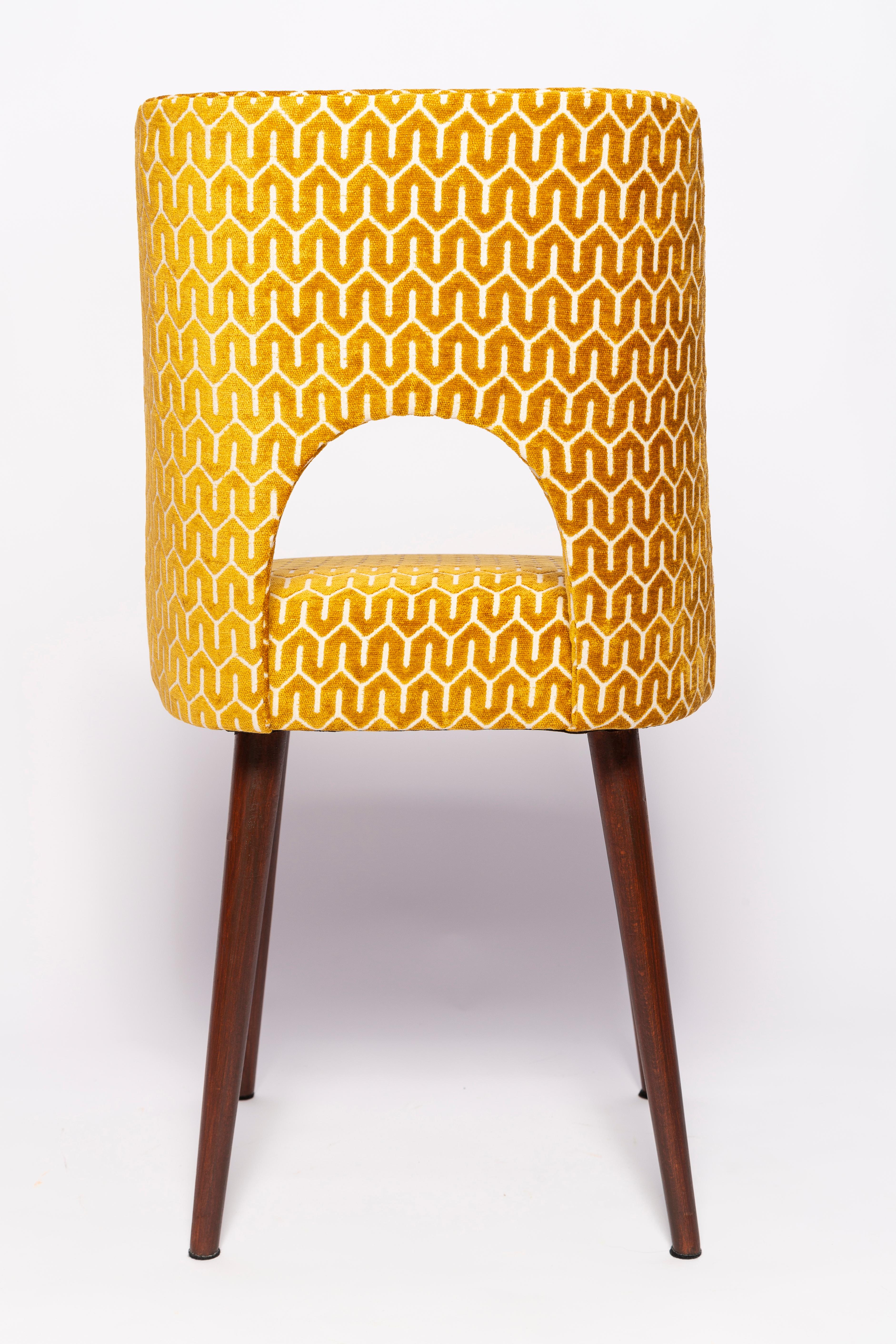 20th Century Set of Eight Mid-Century Yellow Mustard 'Shell' Chairs, Europe, 1960s For Sale