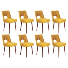 Ensemble de huit chaises Shell jaune moutarde du milieu du siècle, Europe, années 1960