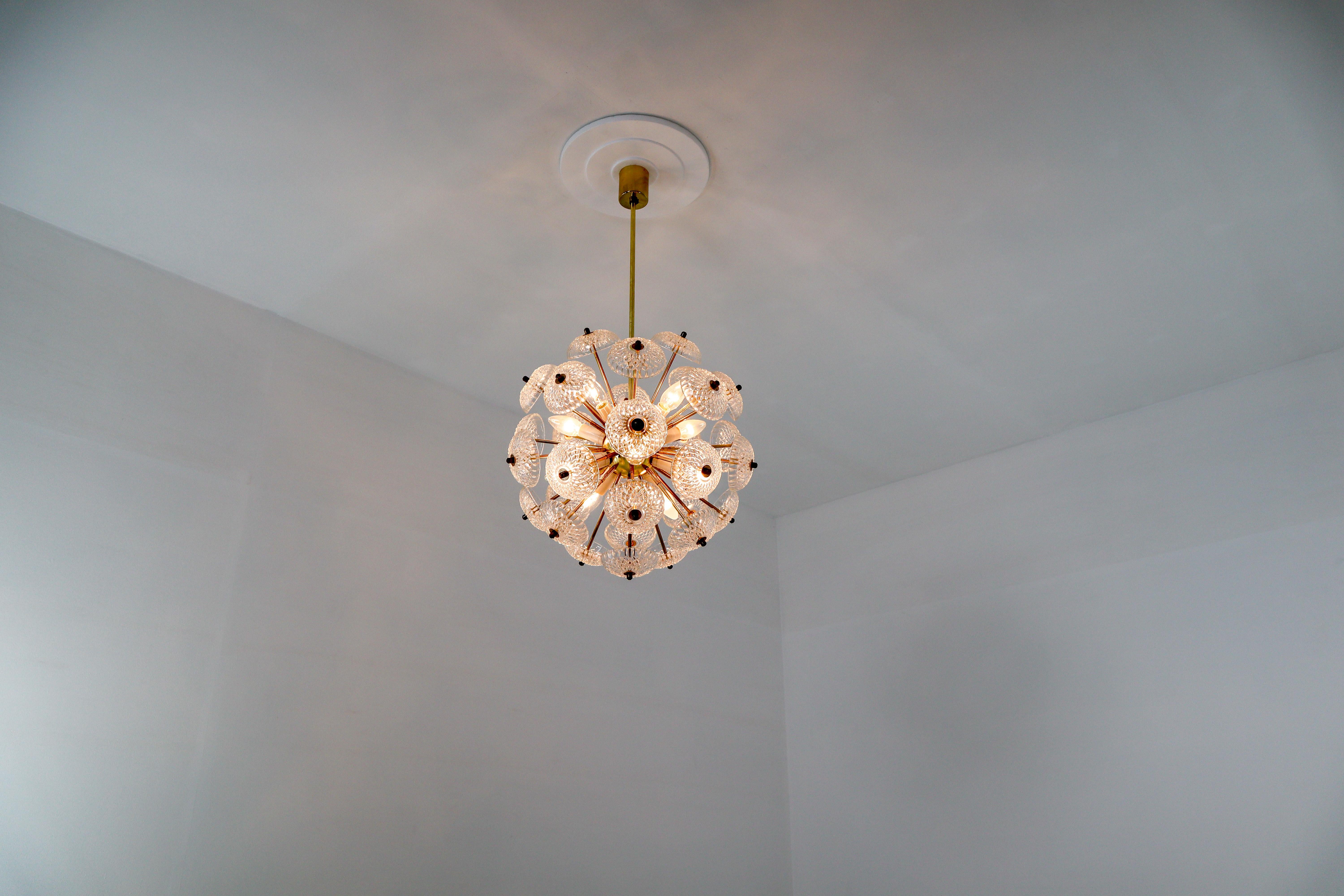 Midcentury Brass Floral Chandeliers in the Style of Emil Stejnar 3