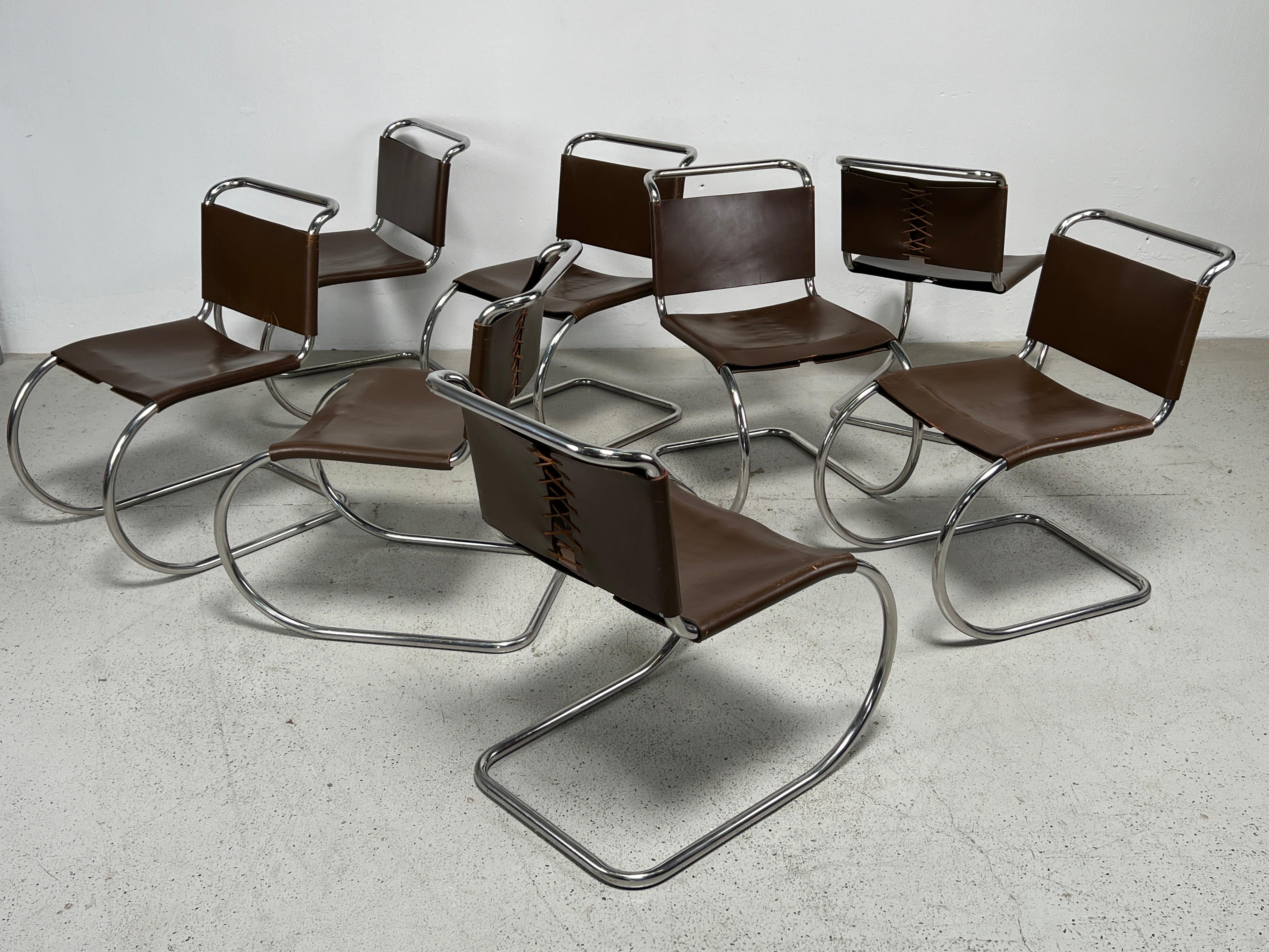 A set of eight beautifully patinated original brown leather MR10 chairs by Mies van der Rohe for Knoll. 