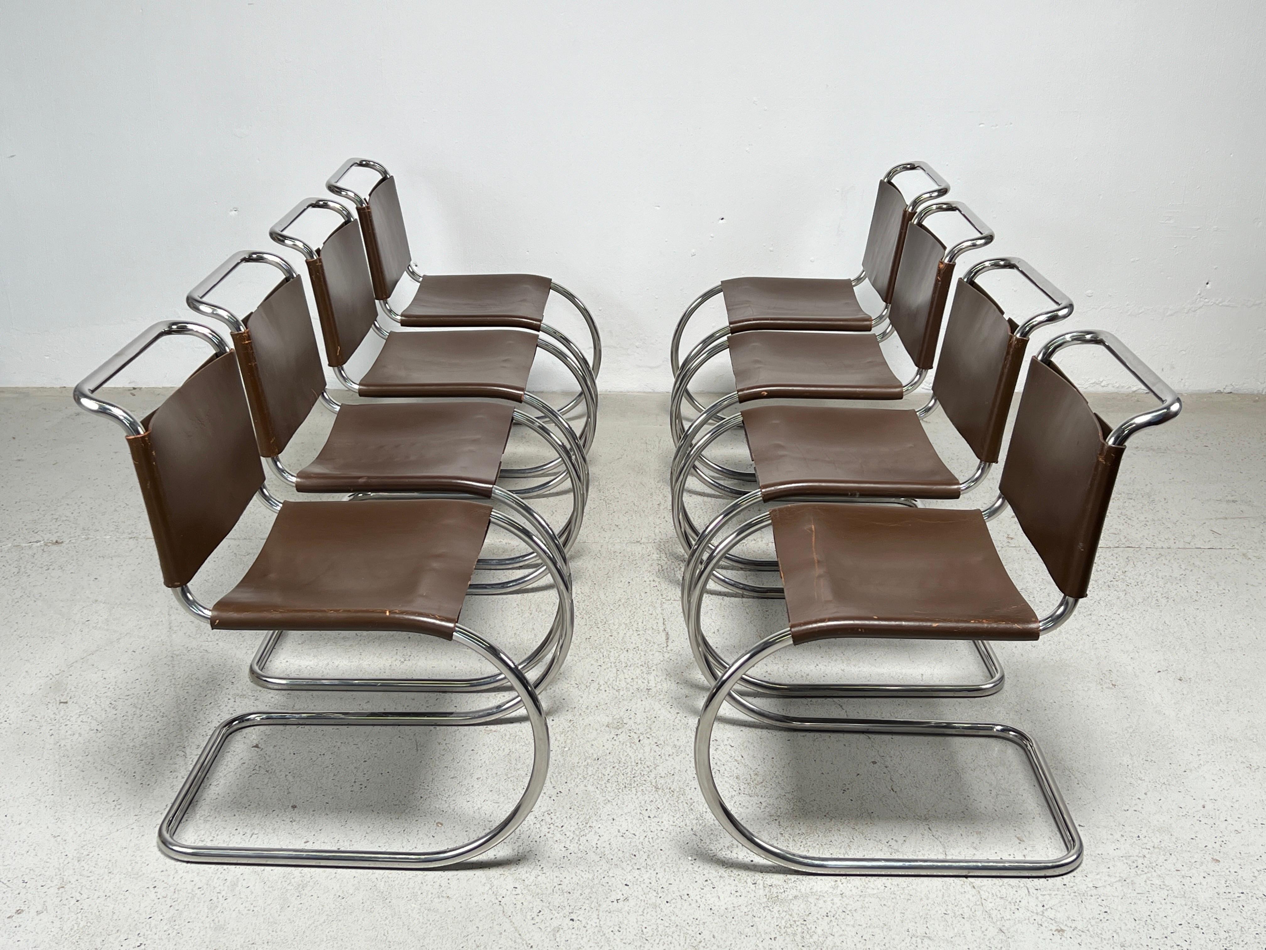 Ensemble de huit chaises de salle à manger MR10 de Mies van der Rohe pour knoll  Bon état - En vente à Dallas, TX