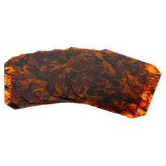Set of Eight Placemats Tortoiseshell Effect Lucite, Italy 1970s