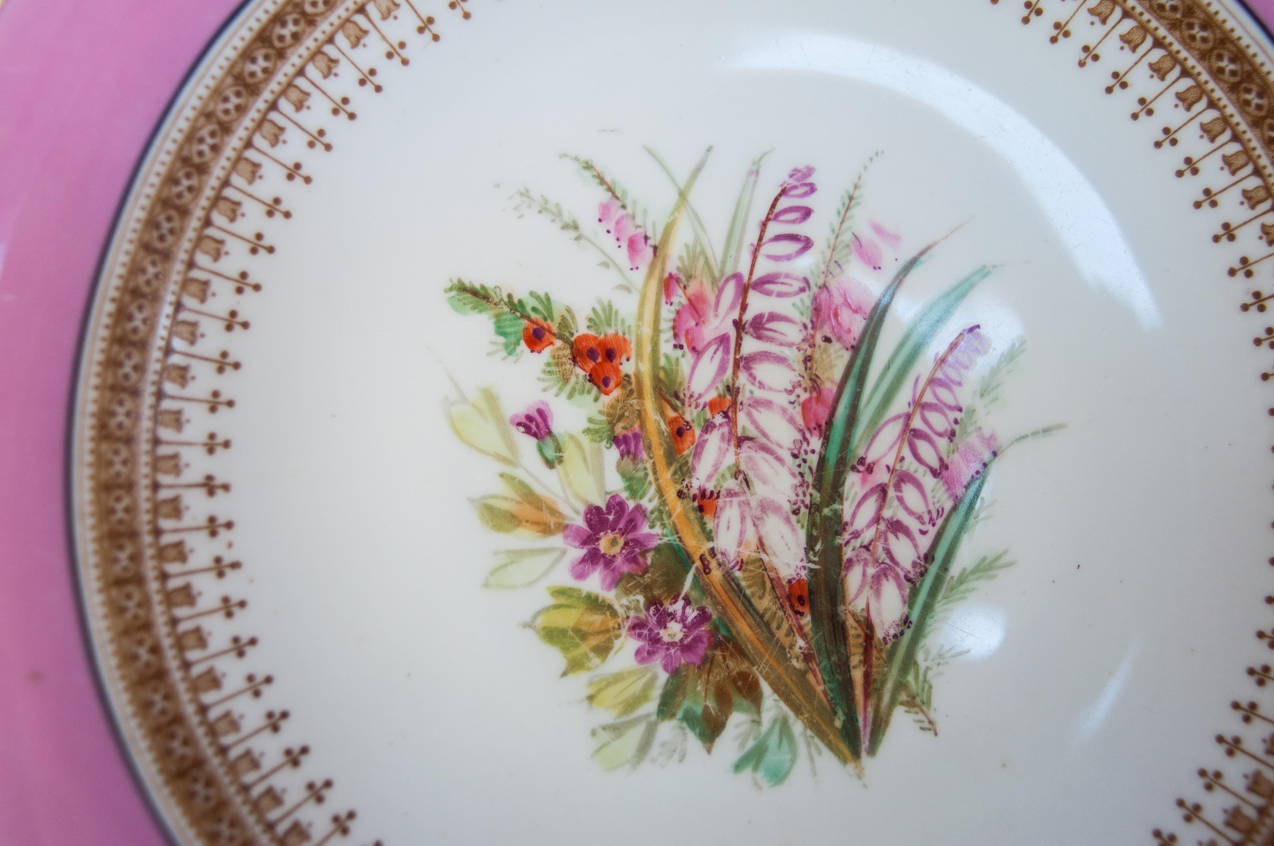 Set of Eight Rare Antique Royal Worcester Botanical Plates at 1stDibs
