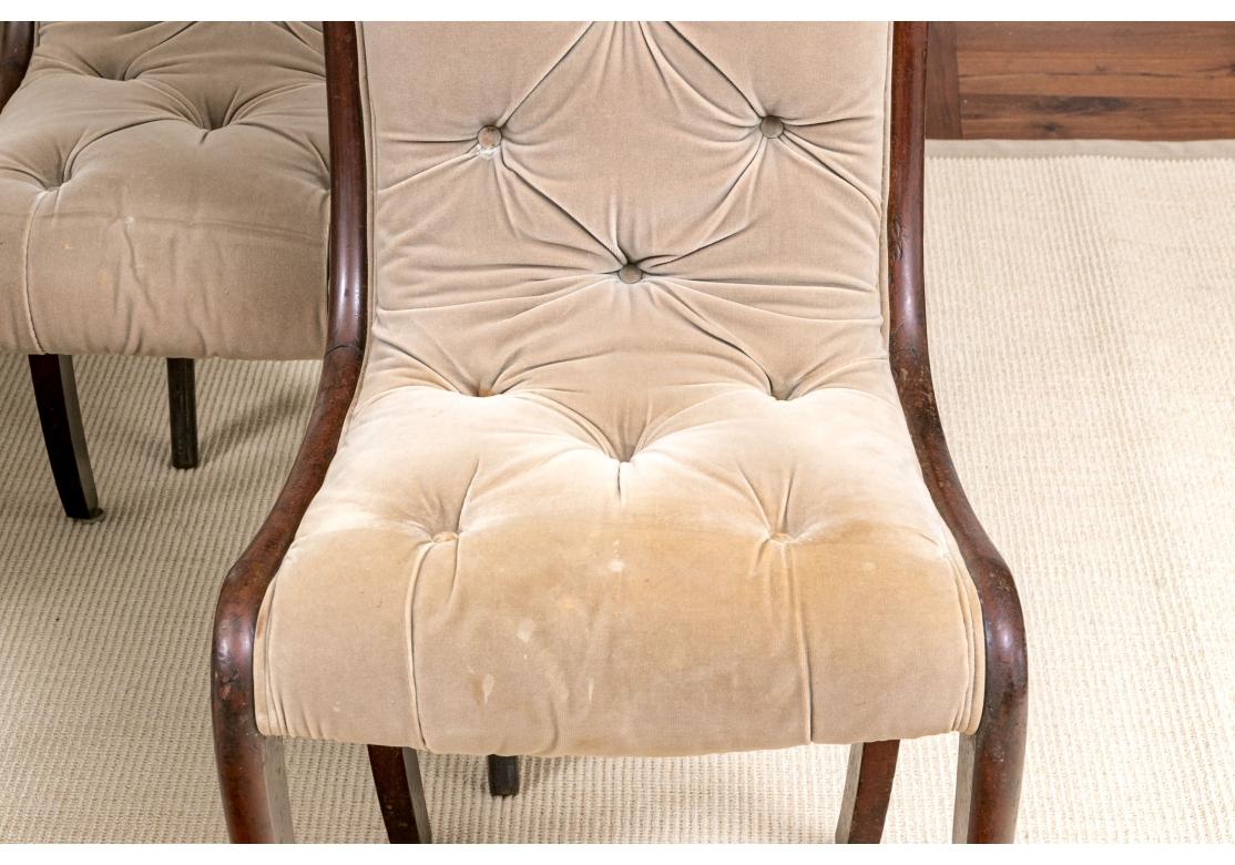 A fine set of diminutive tufted dining chairs with sinuous solid mahogany frames with a noteworthy silhouette, saber legs and one-piece tufted seats and backs. Upholstered in a Camel Velveteen. 

Dimensions: Each chair measures 18” wide by 21” deep