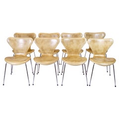 Dining Room Chairs