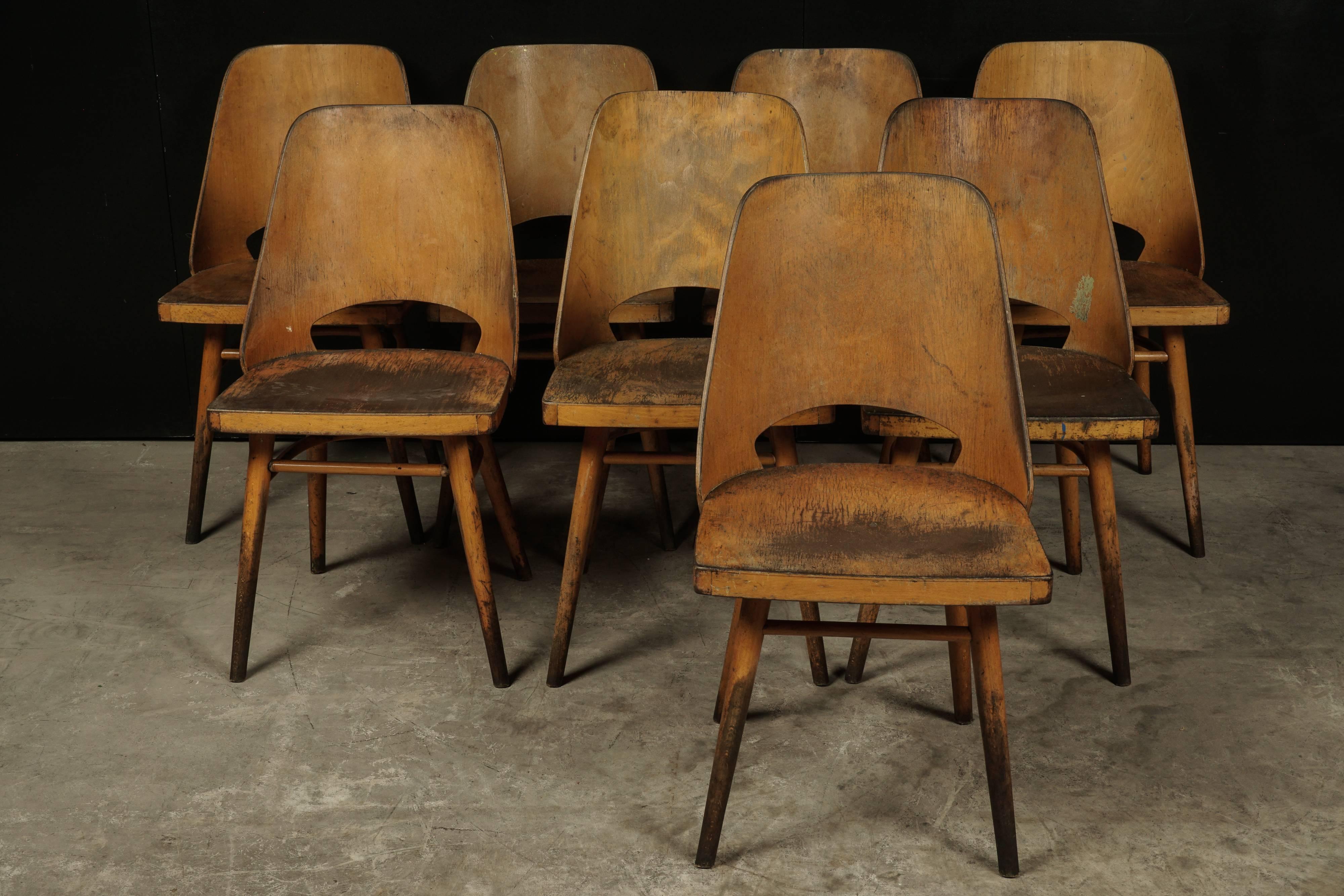 Set of eight Shell chairs from Czech Republic, circa 1960. Molded seats and frame of beech. Original patina and wear.