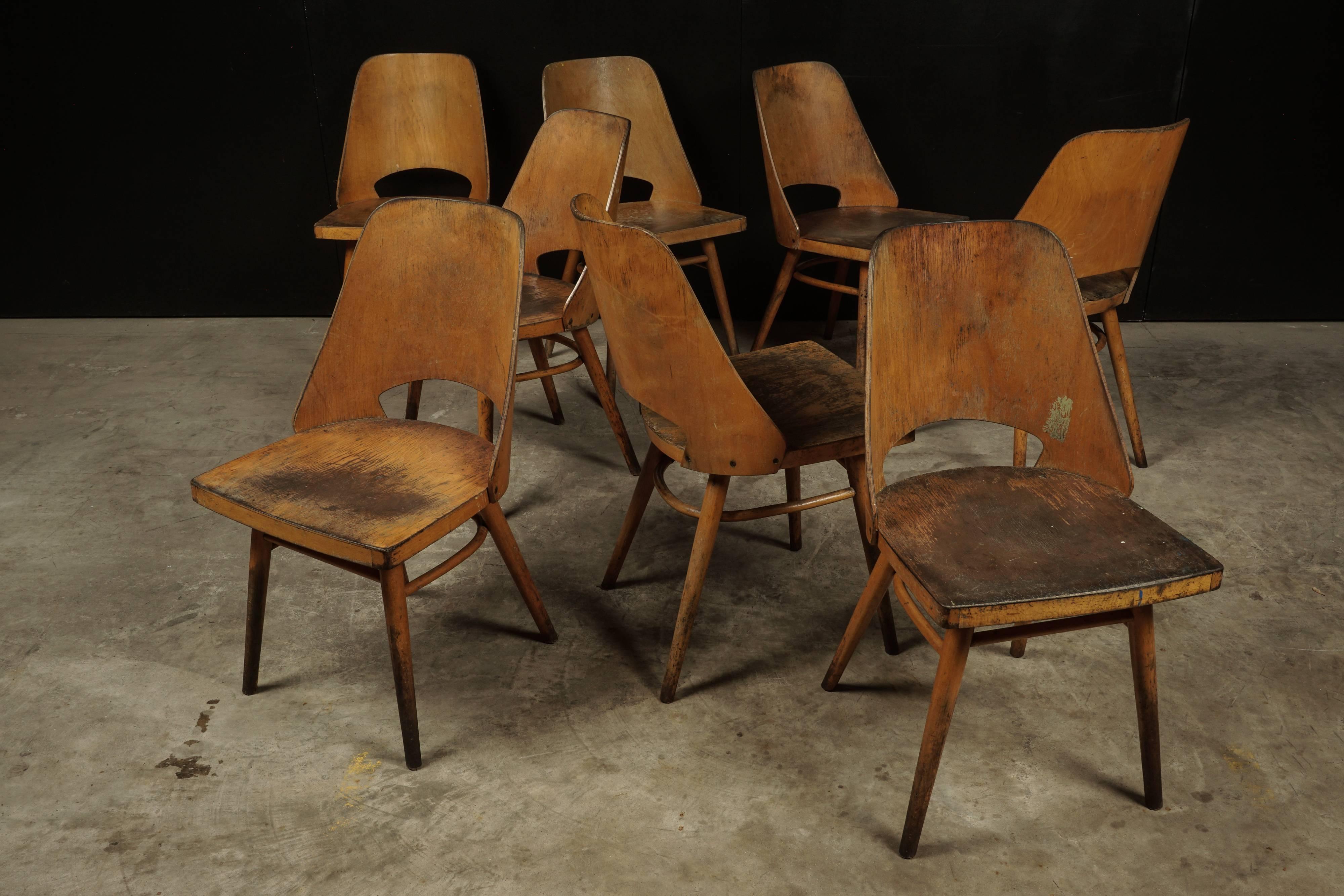 European Set of Eight Shell Chairs from Czech Republic, circa 1960