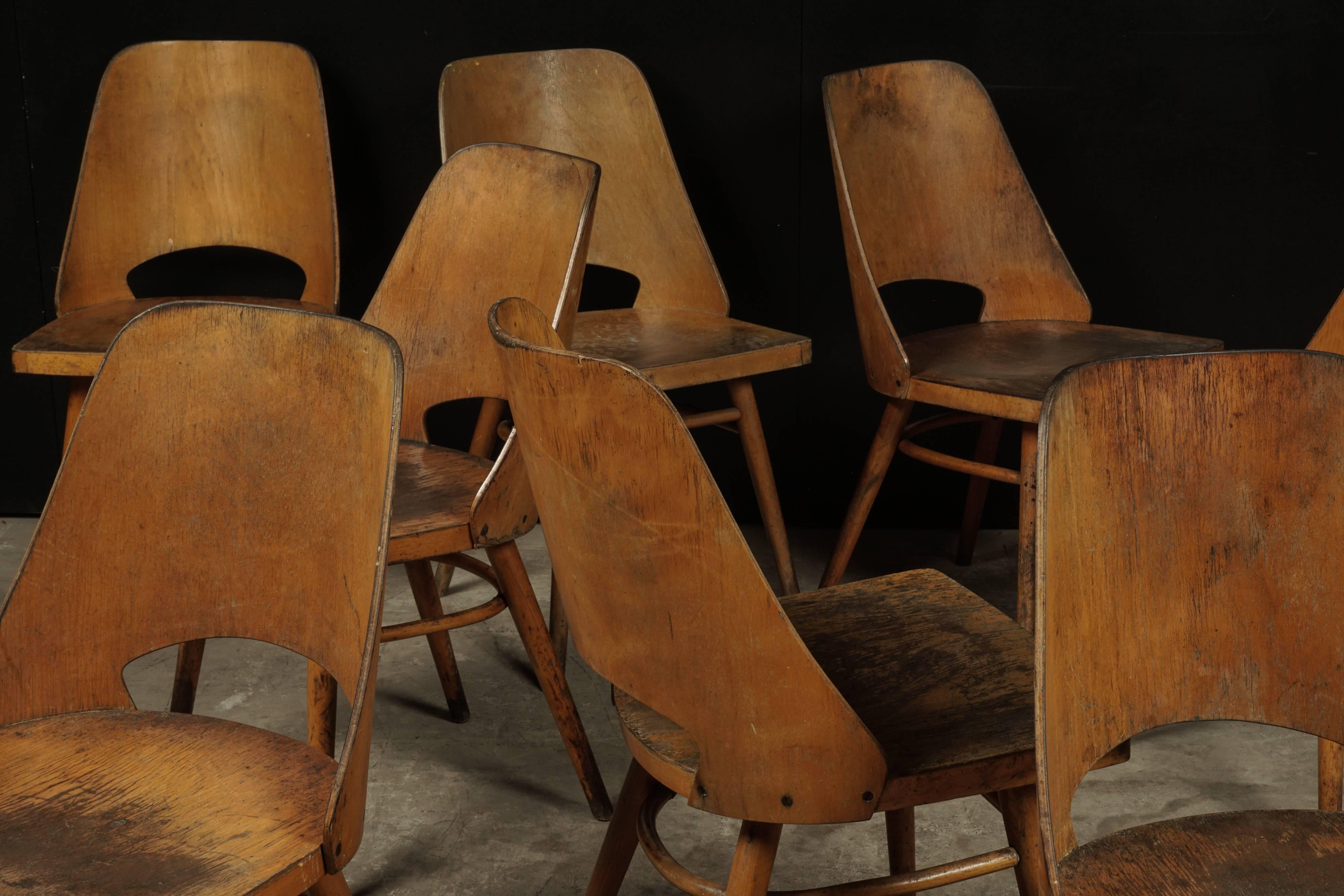 Set of Eight Shell Chairs from Czech Republic, circa 1960 In Good Condition In Nashville, TN