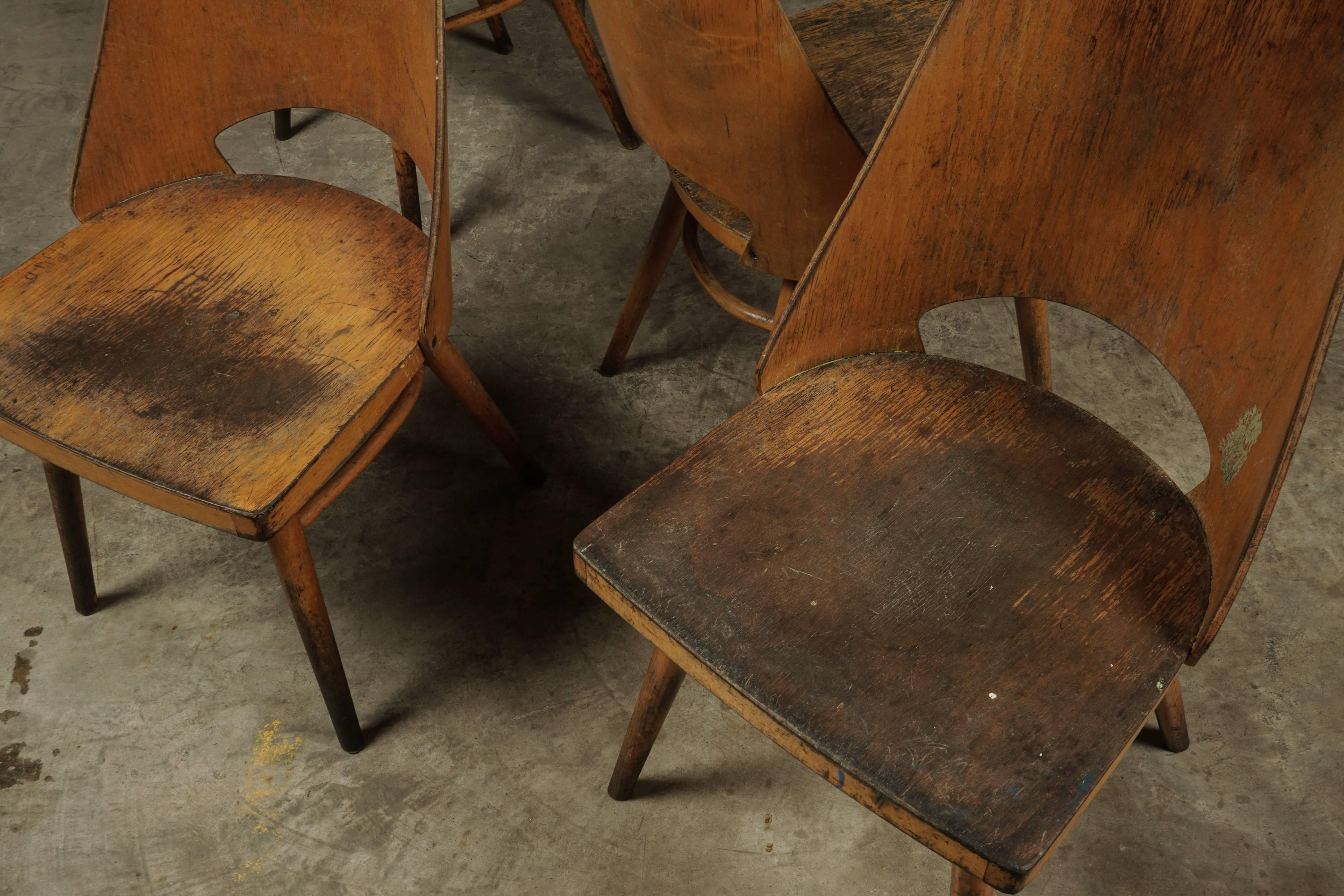 Set of Eight Shell Chairs from Czech Republic, circa 1960 1