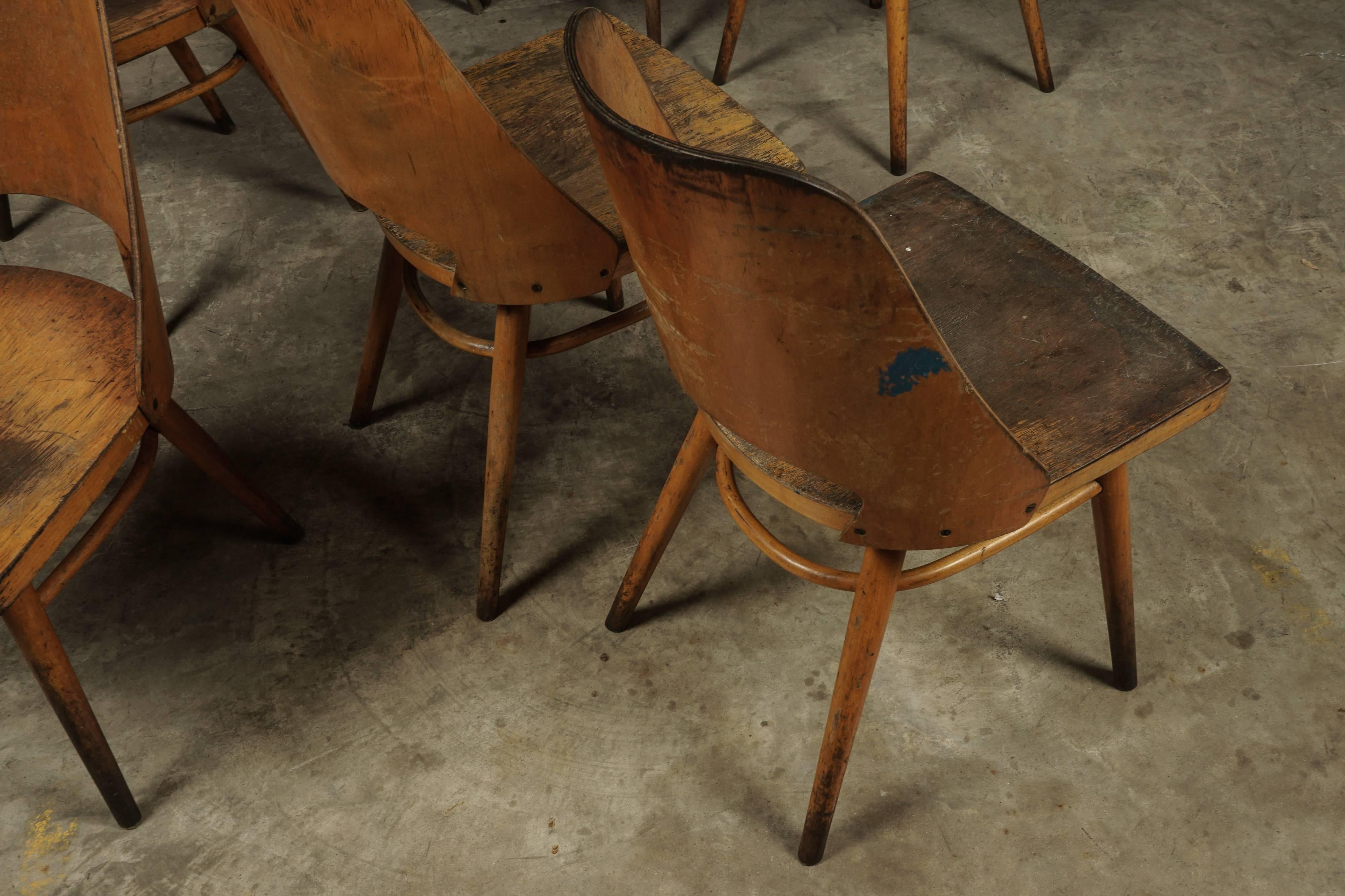 Set of Eight Shell Chairs from Czech Republic, circa 1960 2