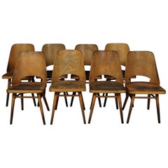 Set of Eight Shell Chairs from Czech Republic, circa 1960