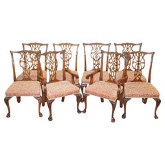 Ensemble de huit chaises de salle à manger Thomas Chippendale en bois dur massif à pieds griffes et Ball and Ball 8