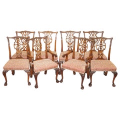 Set of Eight Solid Hardwood Claw & Ball Feet Thomas Chippendale Dining Chairs 8