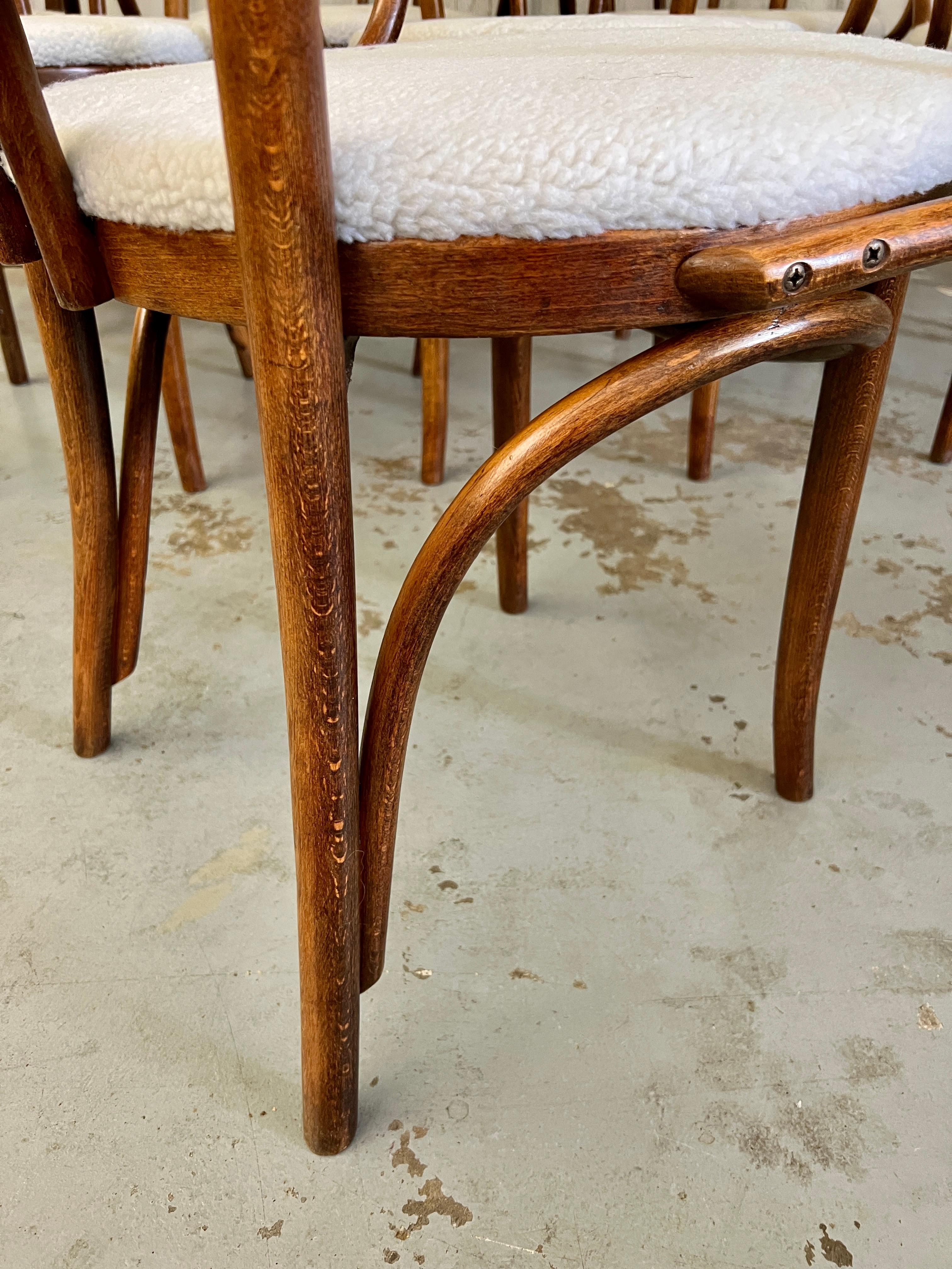 Set of Eight Thonet Arm Chairs 5