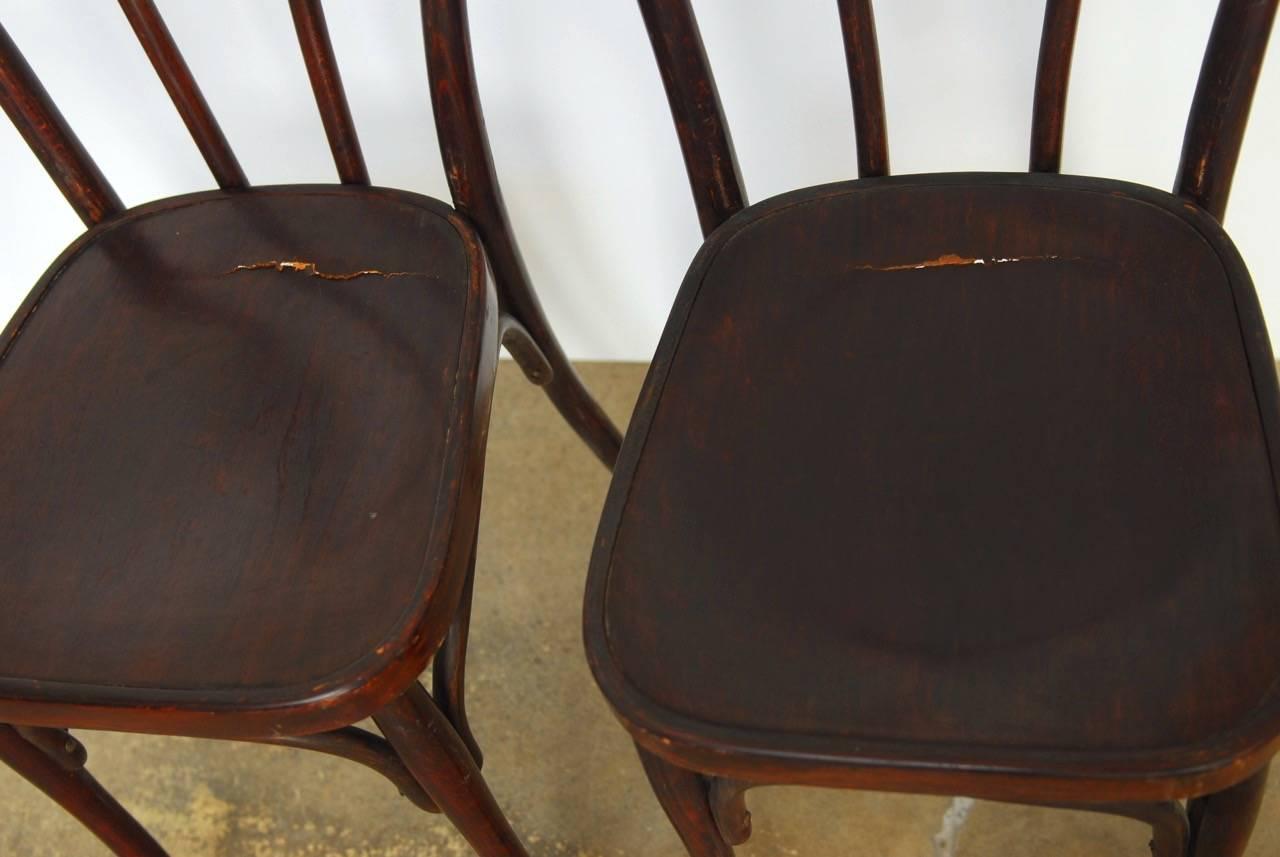 Set of Eight Viennese Bentwood Chairs by J.J. Kohn 2