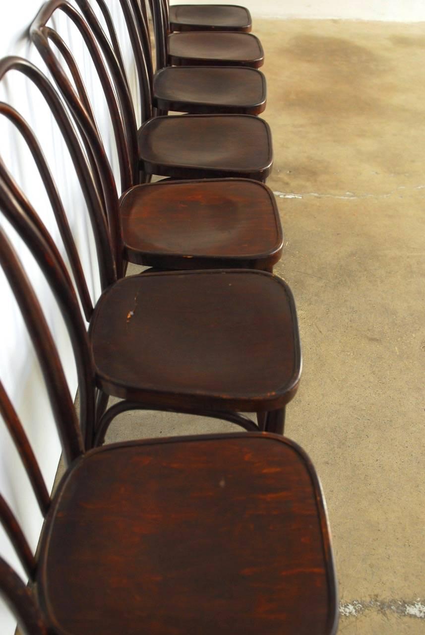 Polish Set of Eight Viennese Bentwood Chairs by J.J. Kohn
