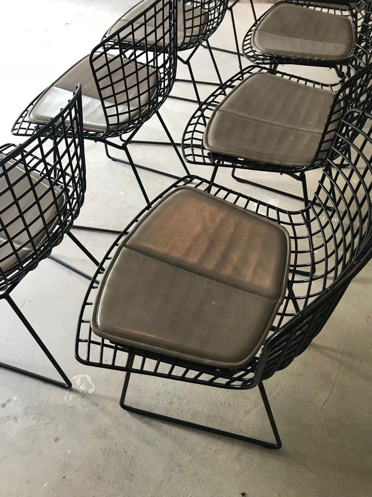 Mid-Century Modern Set of Eight Vintage Chairs by Harry Bertoia for Knoll