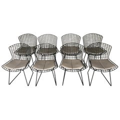 Set of Eight Vintage Chairs by Harry Bertoia for Knoll