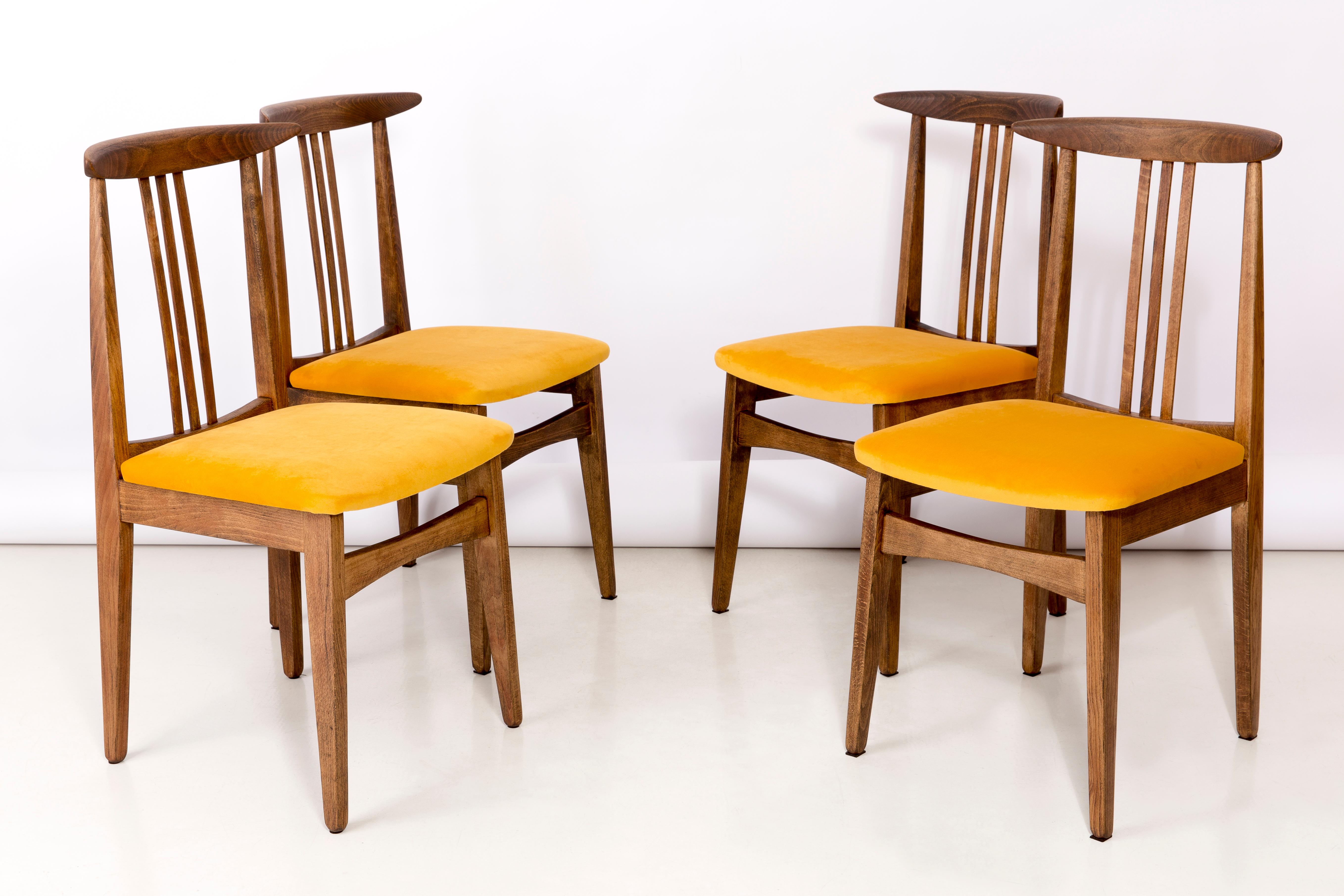 Set of eight beech chairs designed by M. Zielinski, type 200 / 100B. Manufactured by the Opole Furniture Industry Center at the end of the 1960s in Poland. The chairs have undergone a complete carpentry and upholstery renovation. Seats covered with