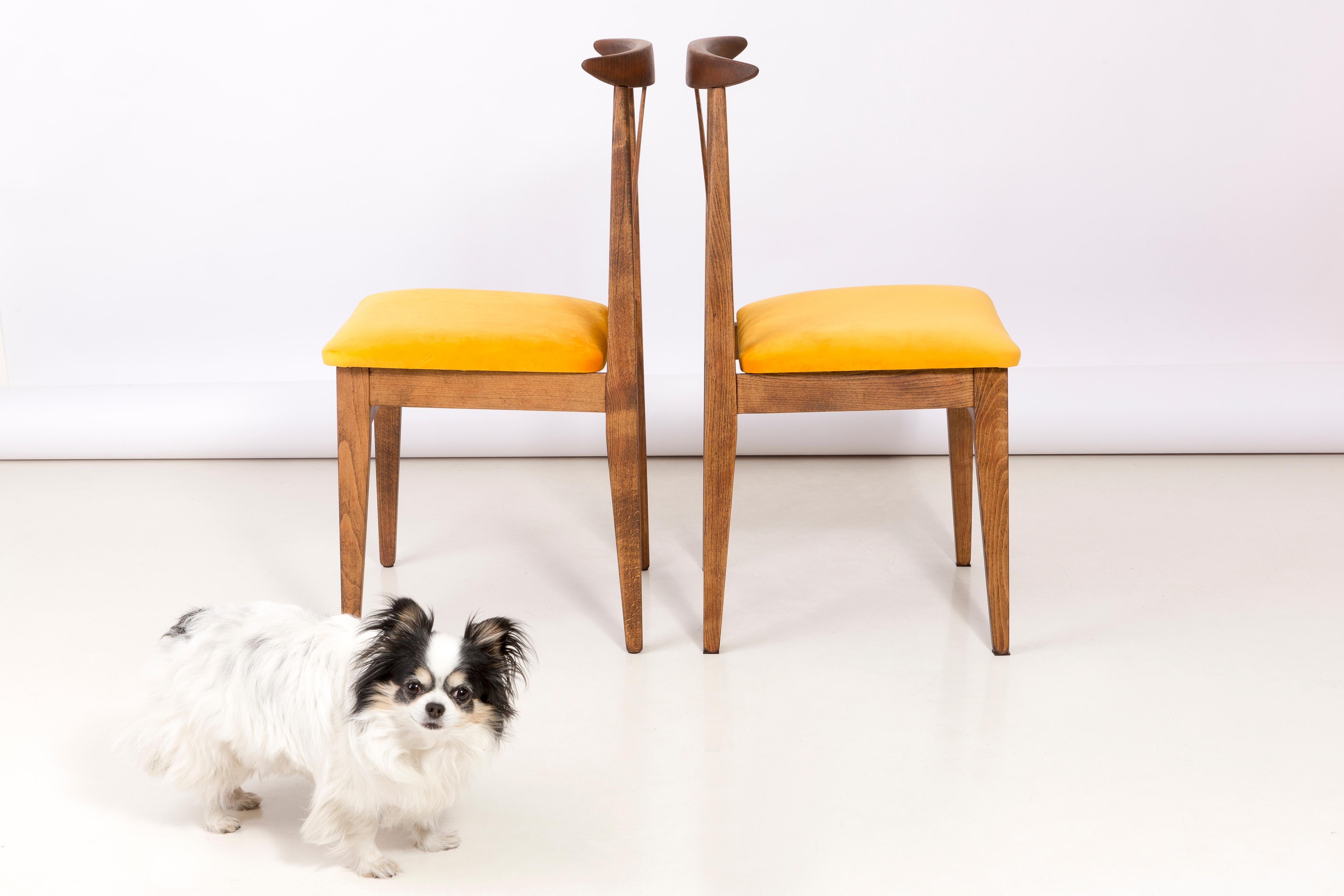 Polish Set of Eight Yellow Chairs, by Zielinski, Europe, 1960s For Sale