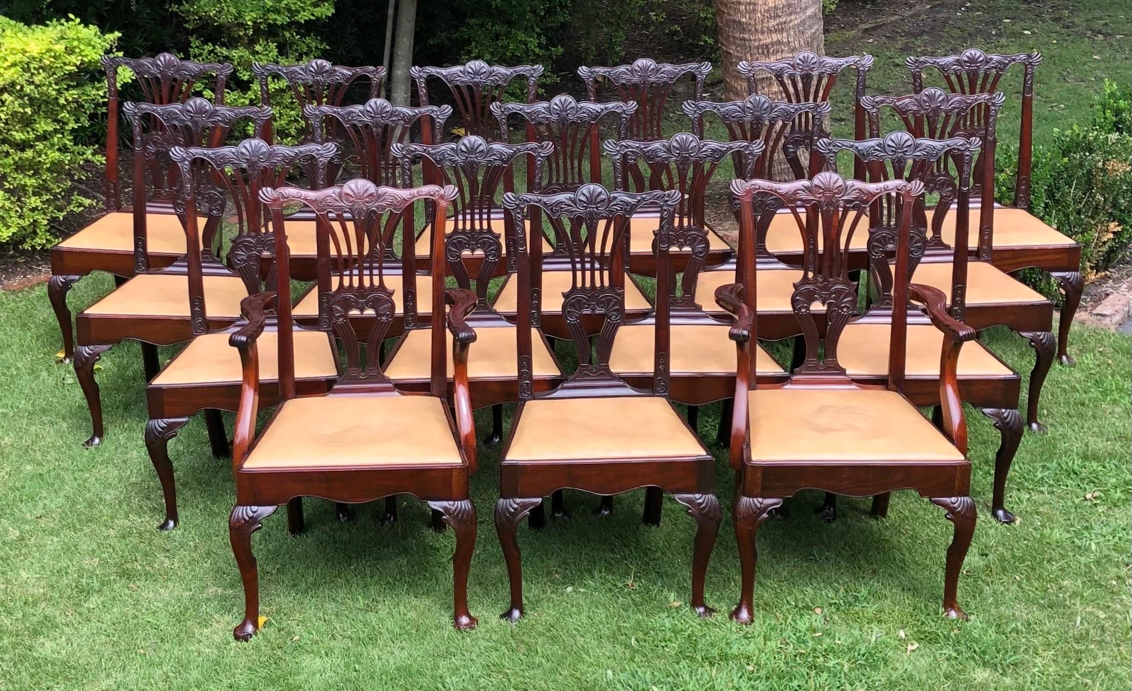 Ensemble de dix-huit chaises de salle à manger anglaises géorgiennes, 19e siècle en vente 4