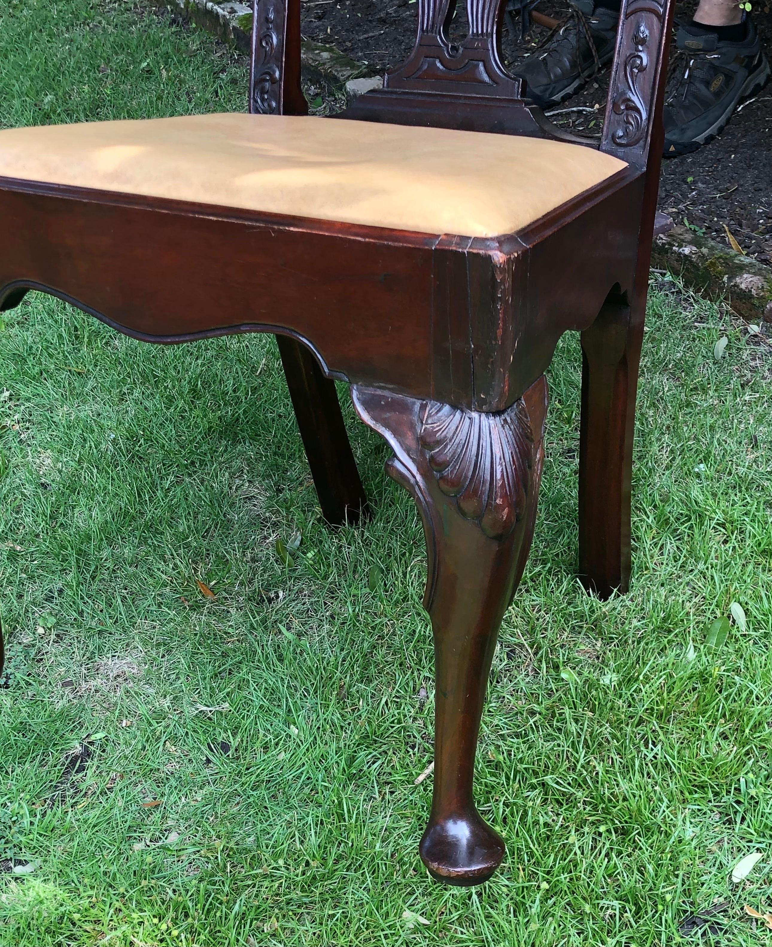 Ensemble de dix-huit chaises de salle à manger anglaises géorgiennes, 19e siècle en vente 7
