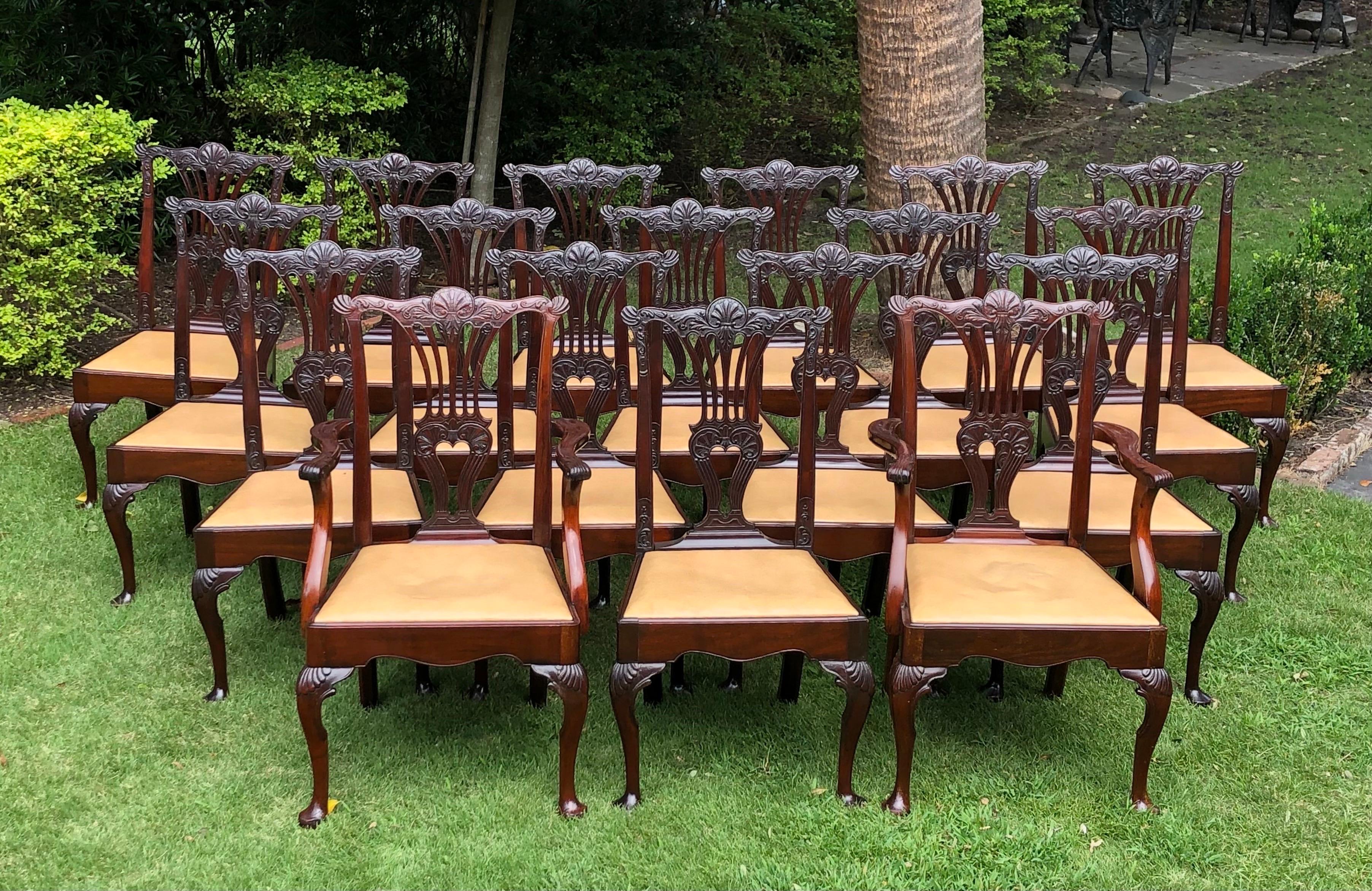 Élégant ensemble de dix-huit chaises de salle à manger du dix-neuvième siècle en acajou massif de George III sculpté, avec une traverse de crête sculptée d'une coquille, un dossier ajouré sculpté en forme de vase, un siège à enfiler se terminant par