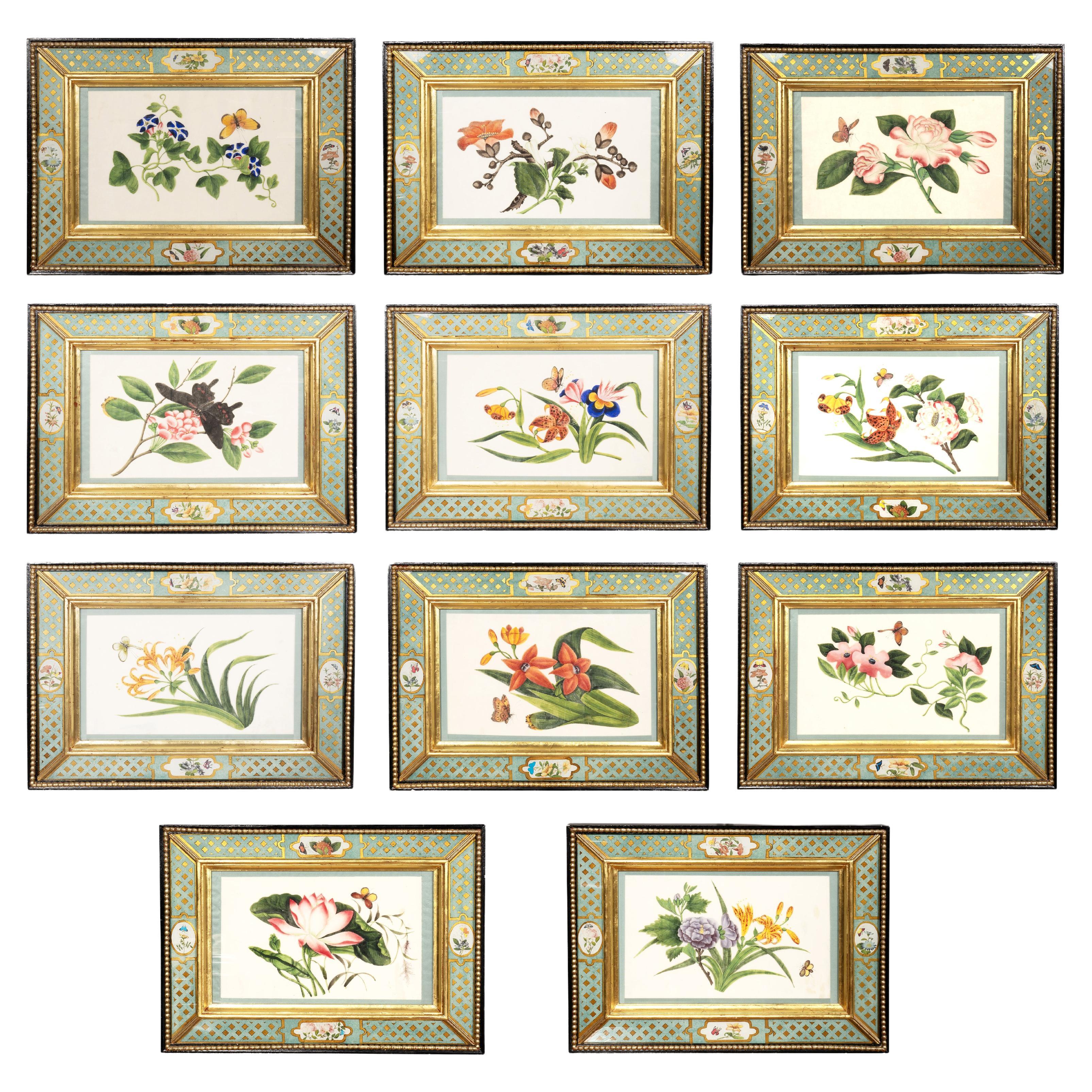 Set Of Eleven Chinese Watercolors On Rice Paper With Eglomise Frames