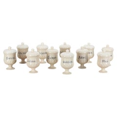 Set of Eleven Late 19th Century Italian Apothecary Jars