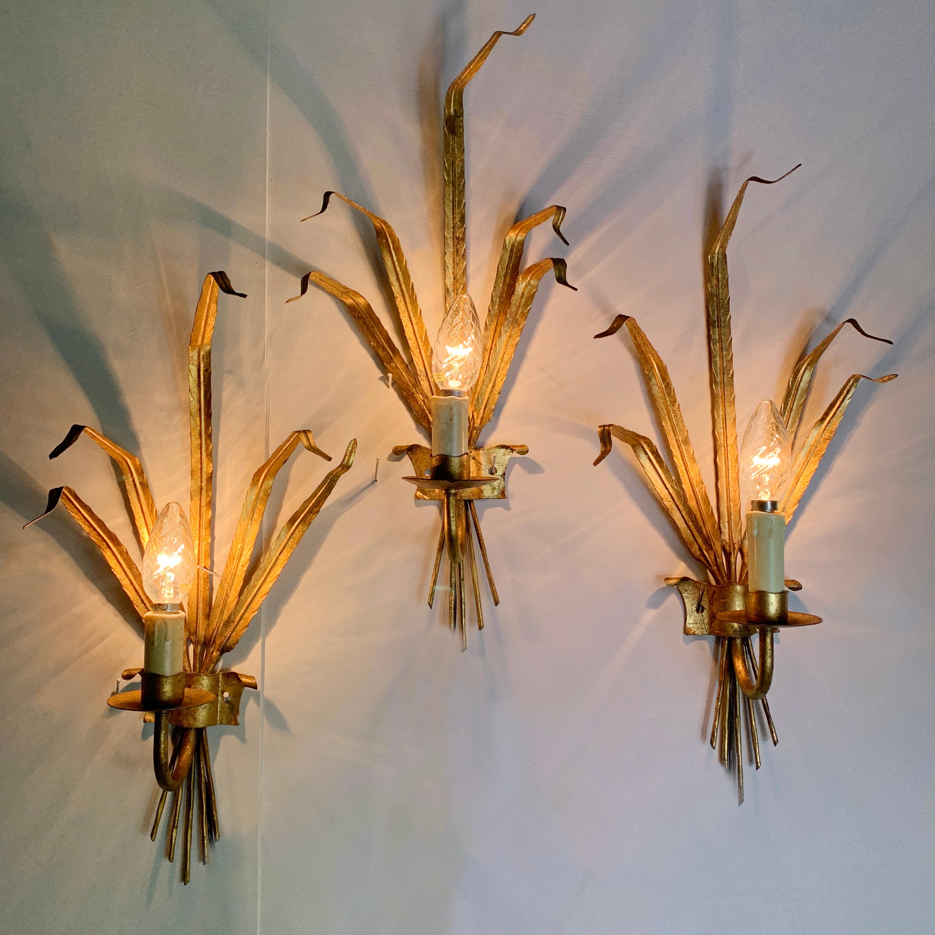 Set Of Gilt Leaf Wall Lights, 1970's 
These Lights Are Attributed To 'Ferro Art' / 'Ferro Colour' Spain C 1970's 
Two are a perfect match, the third has a slightly taller faux candle, but this is not easy to notice unless you are looking, when