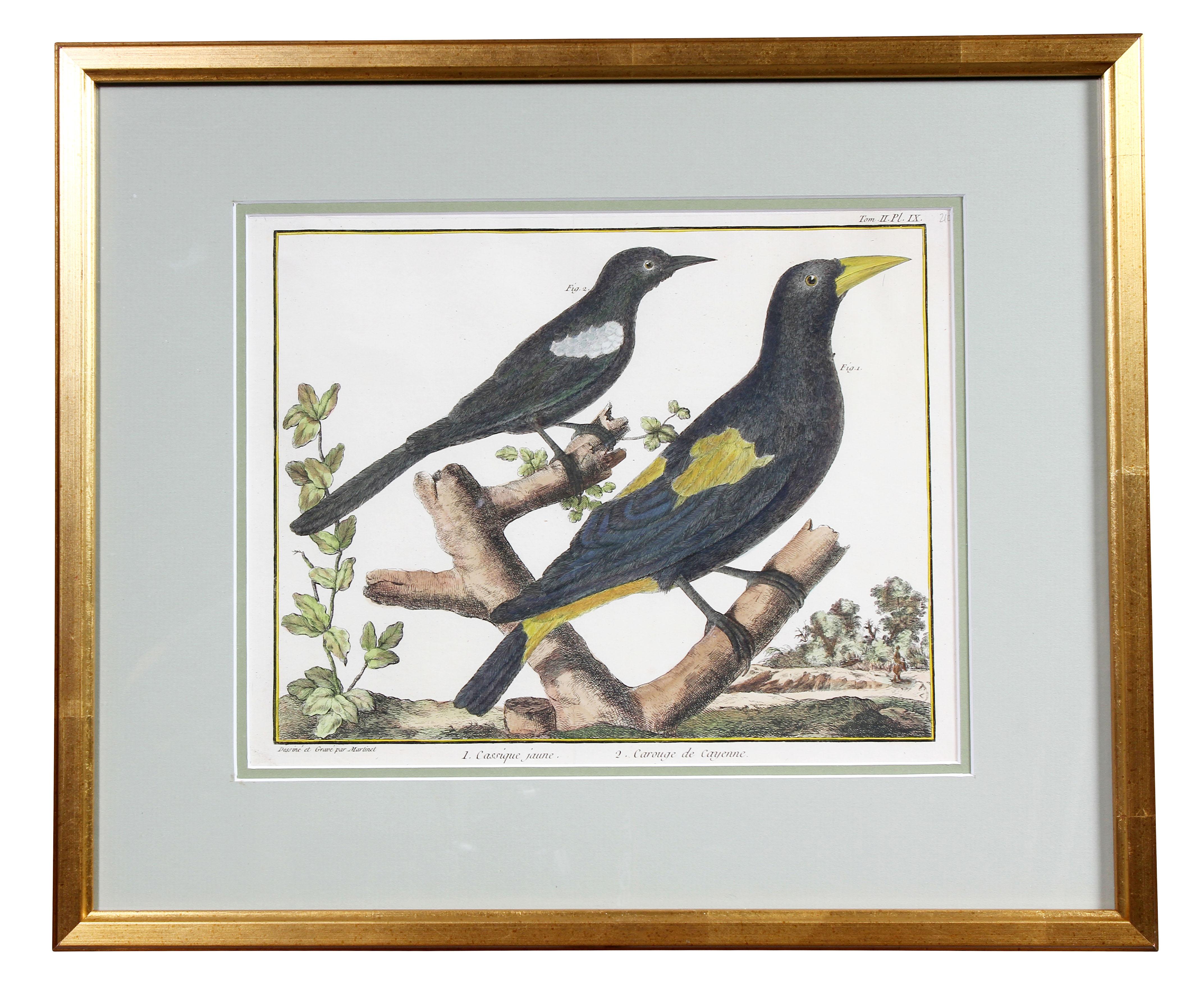 Set of Fifteen Framed Hand Colored Engravings of Birds by Francois N Martinet 4