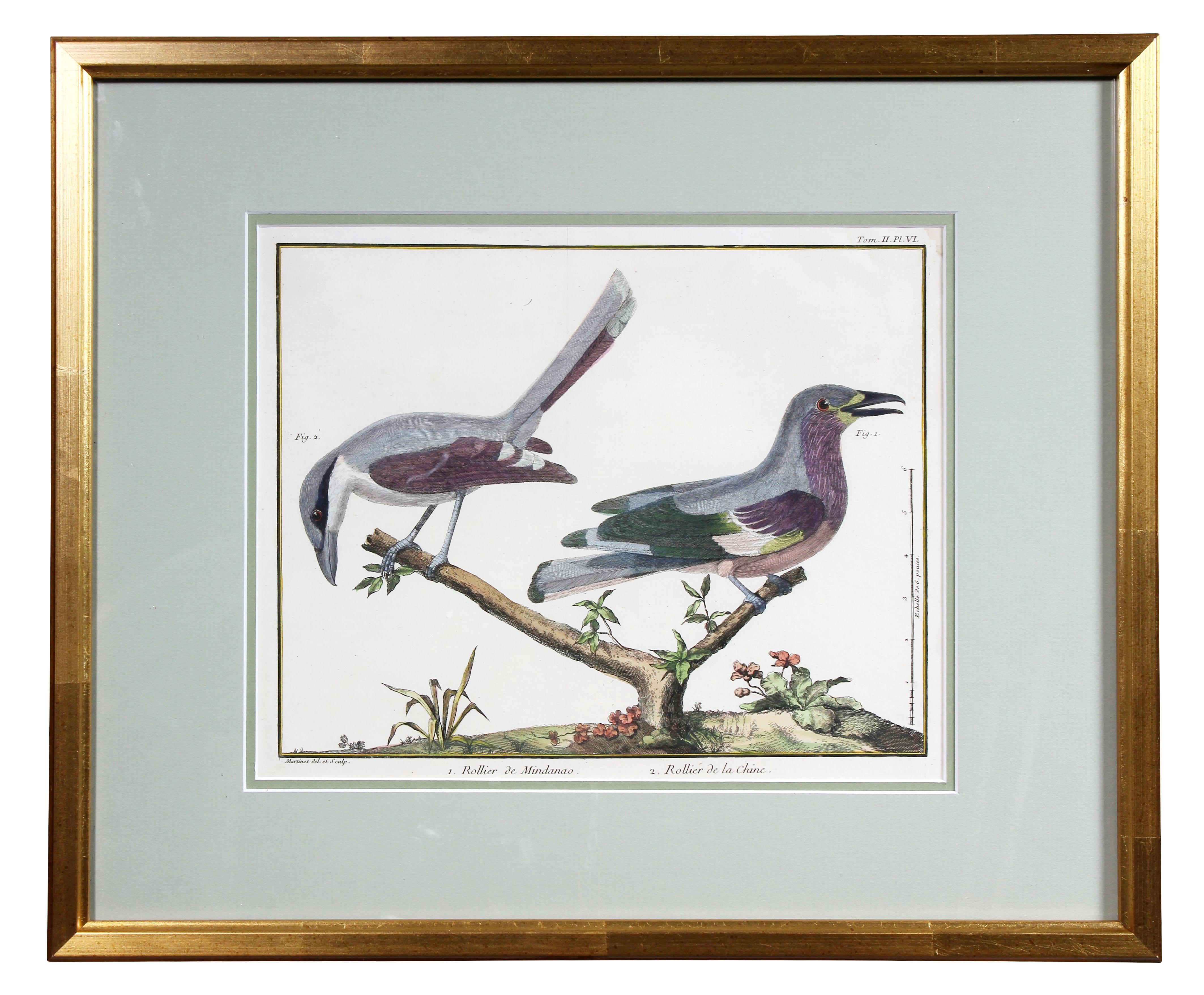 Set of Fifteen Framed Hand Colored Engravings of Birds by Francois N Martinet 5