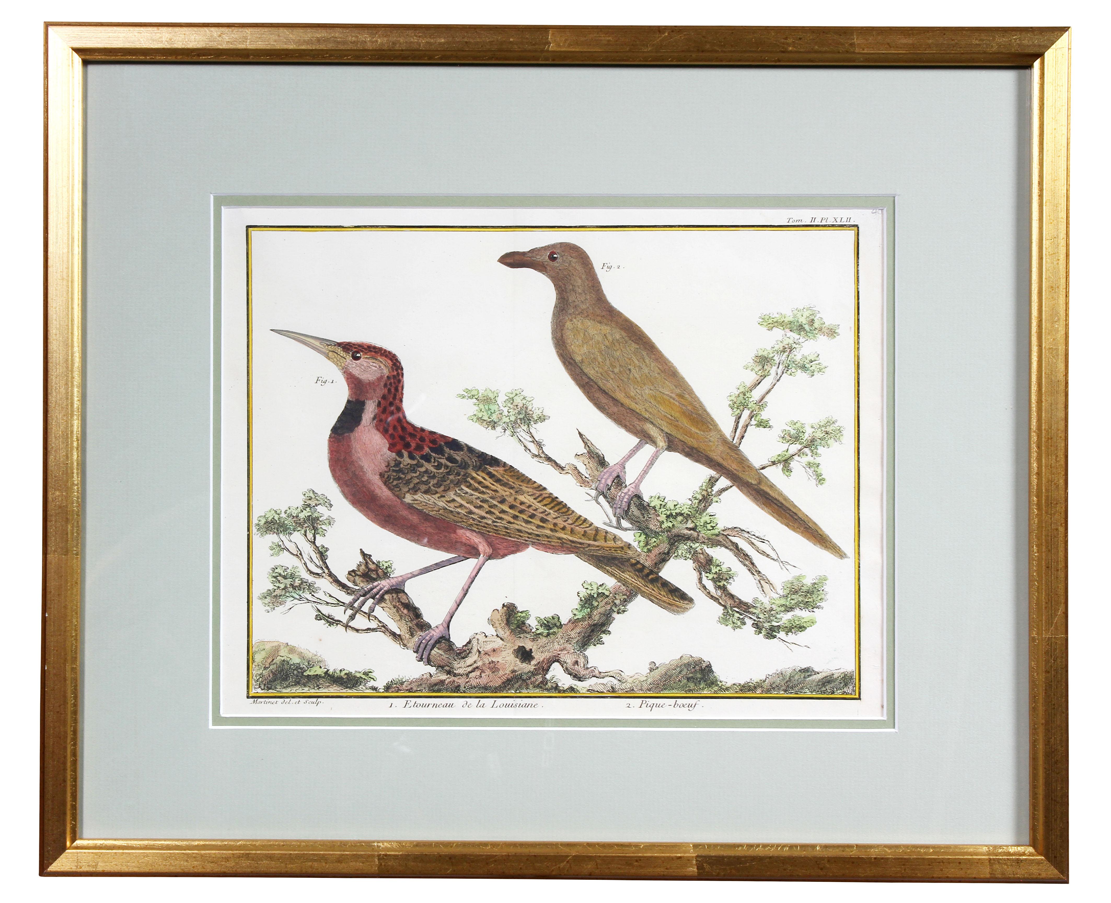 Set of Fifteen Framed Hand Colored Engravings of Birds by Francois N Martinet 7