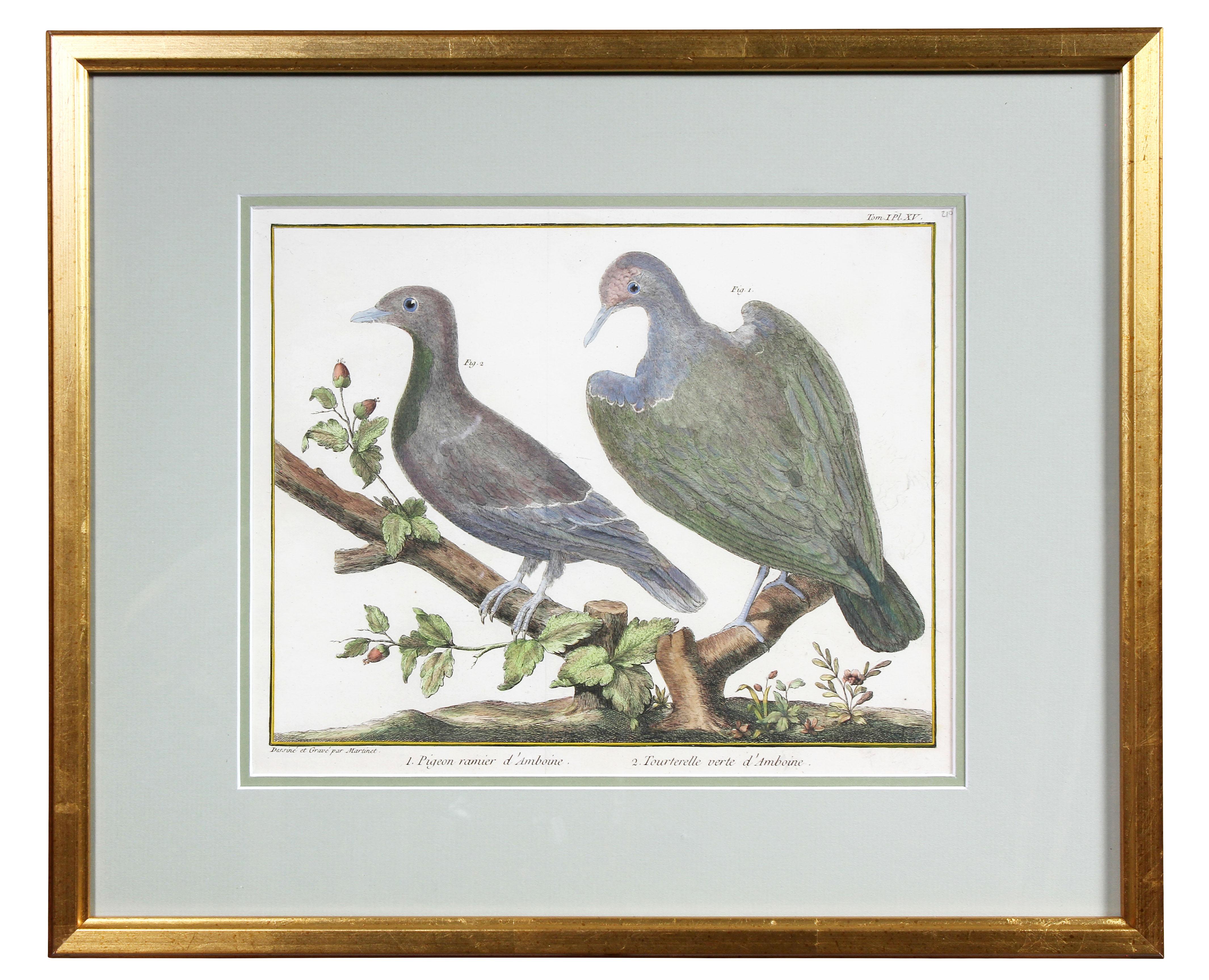 Set of Fifteen Framed Hand Colored Engravings of Birds by Francois N Martinet 9